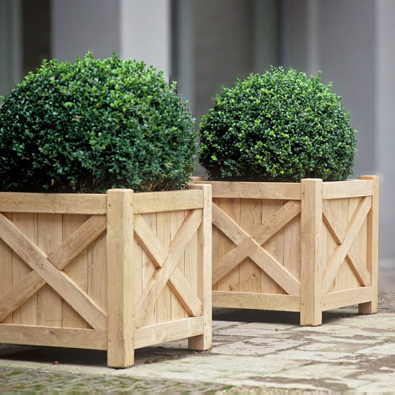 Pair of Kayzer Planters