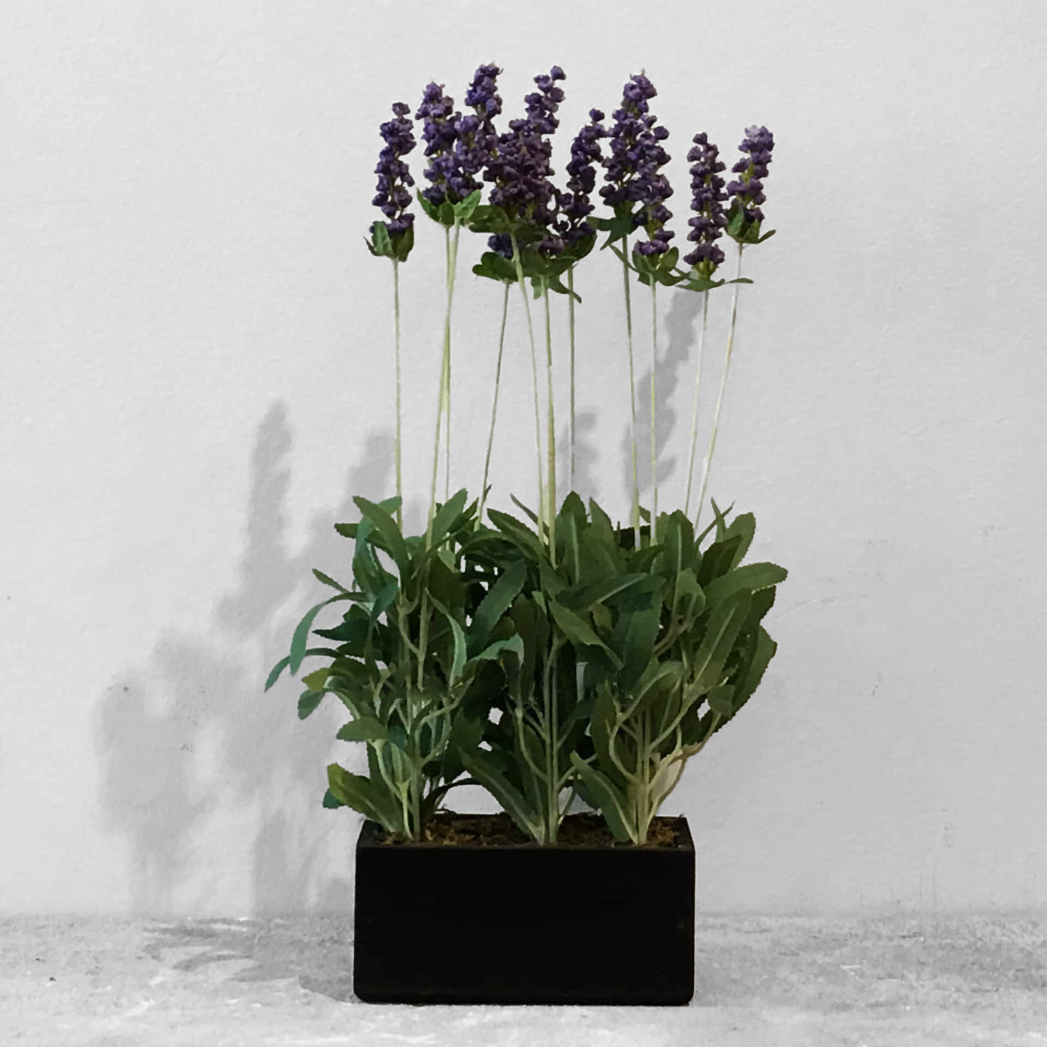 Lavender Floral