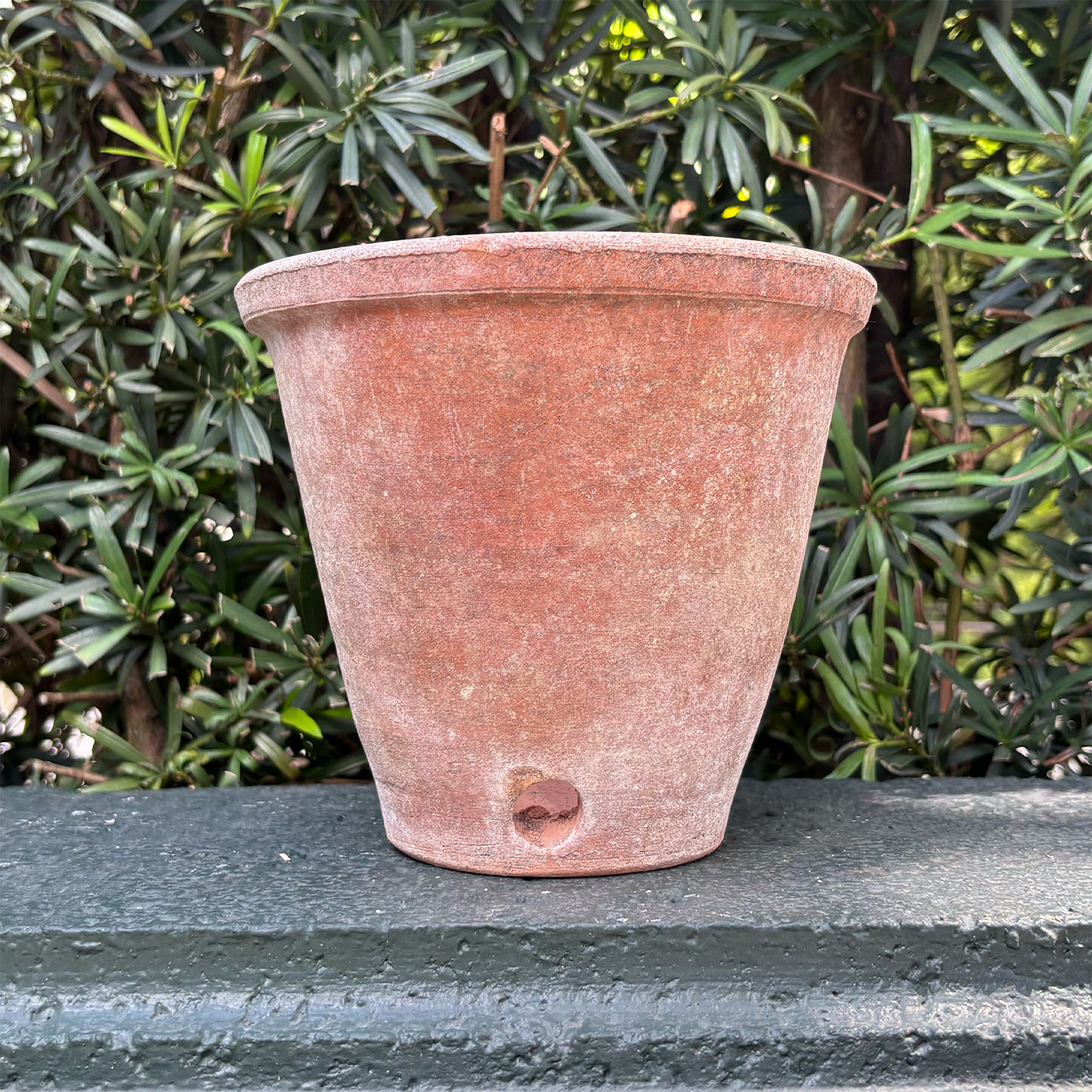 Pirenza Planter