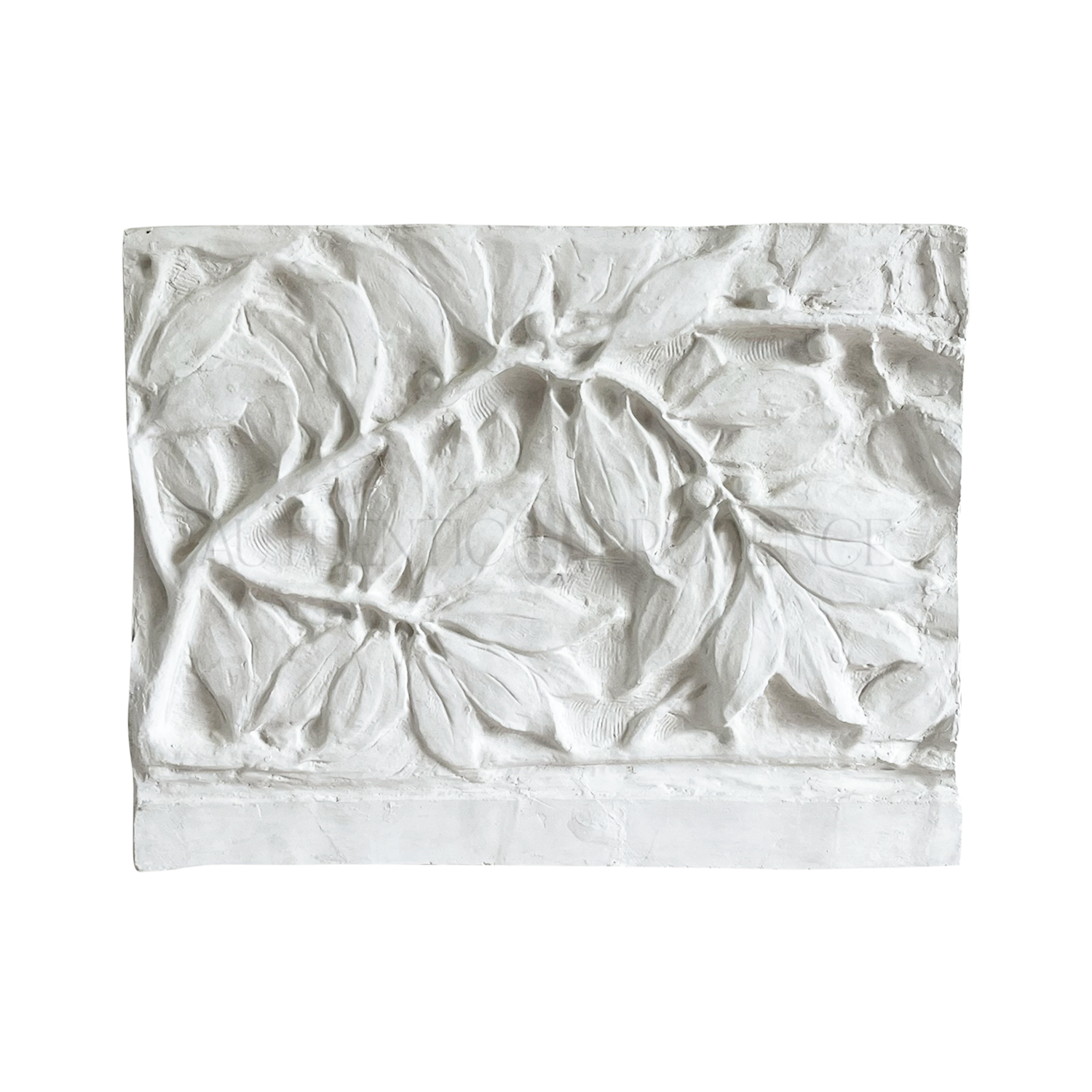 Wall Relief of a Laurel Tree Branch