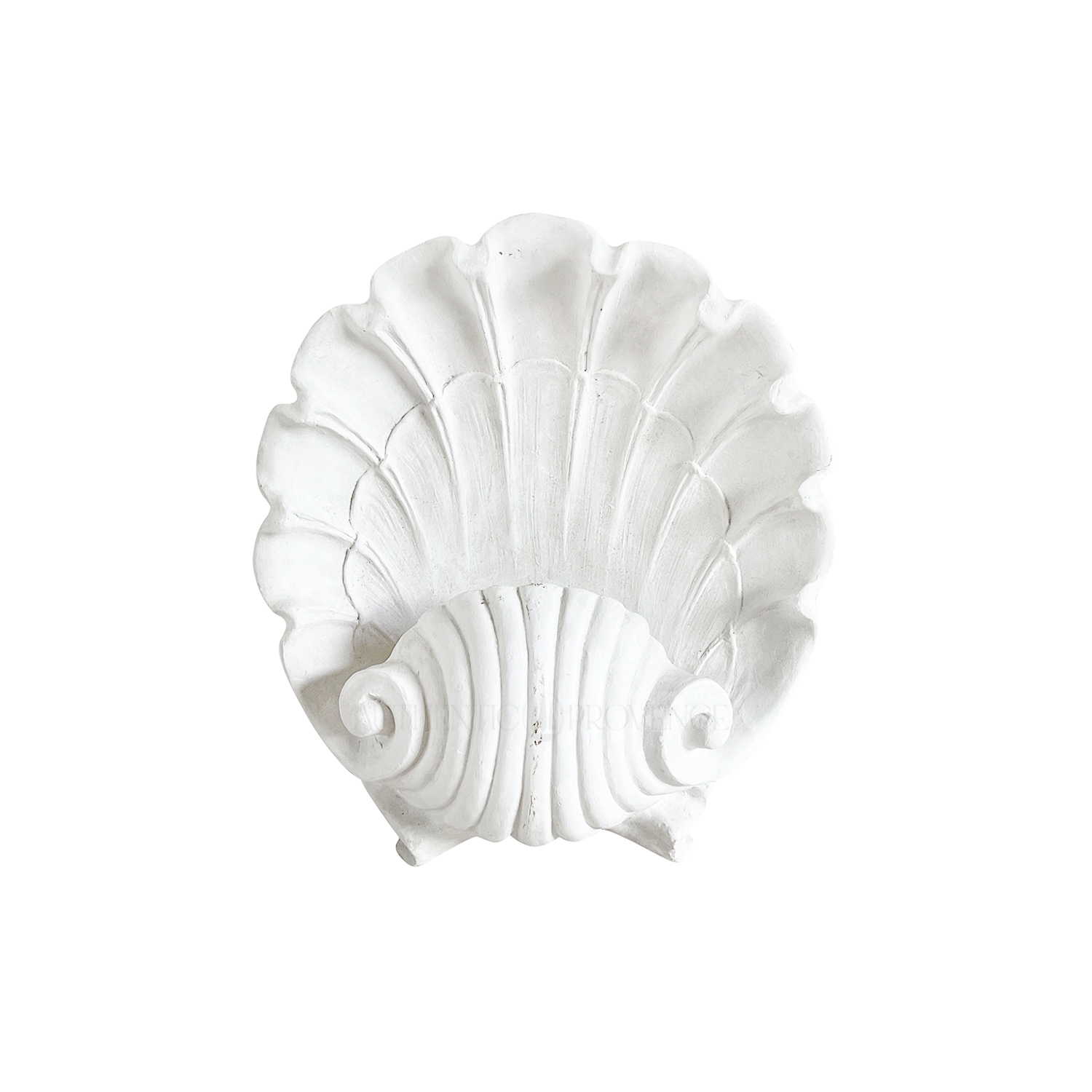Wall Relief – Coquille Saint Jacques