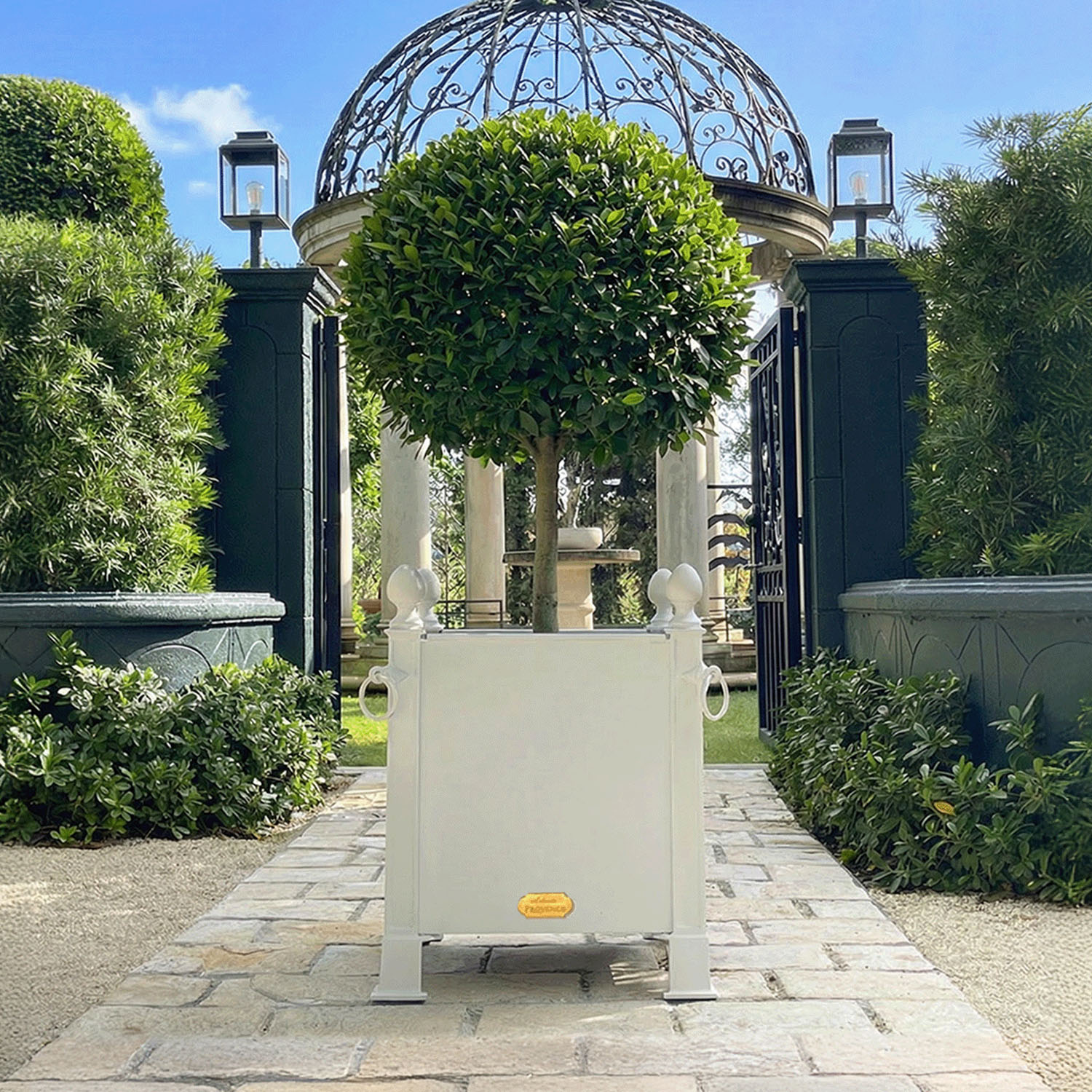 French Orangerie Planter