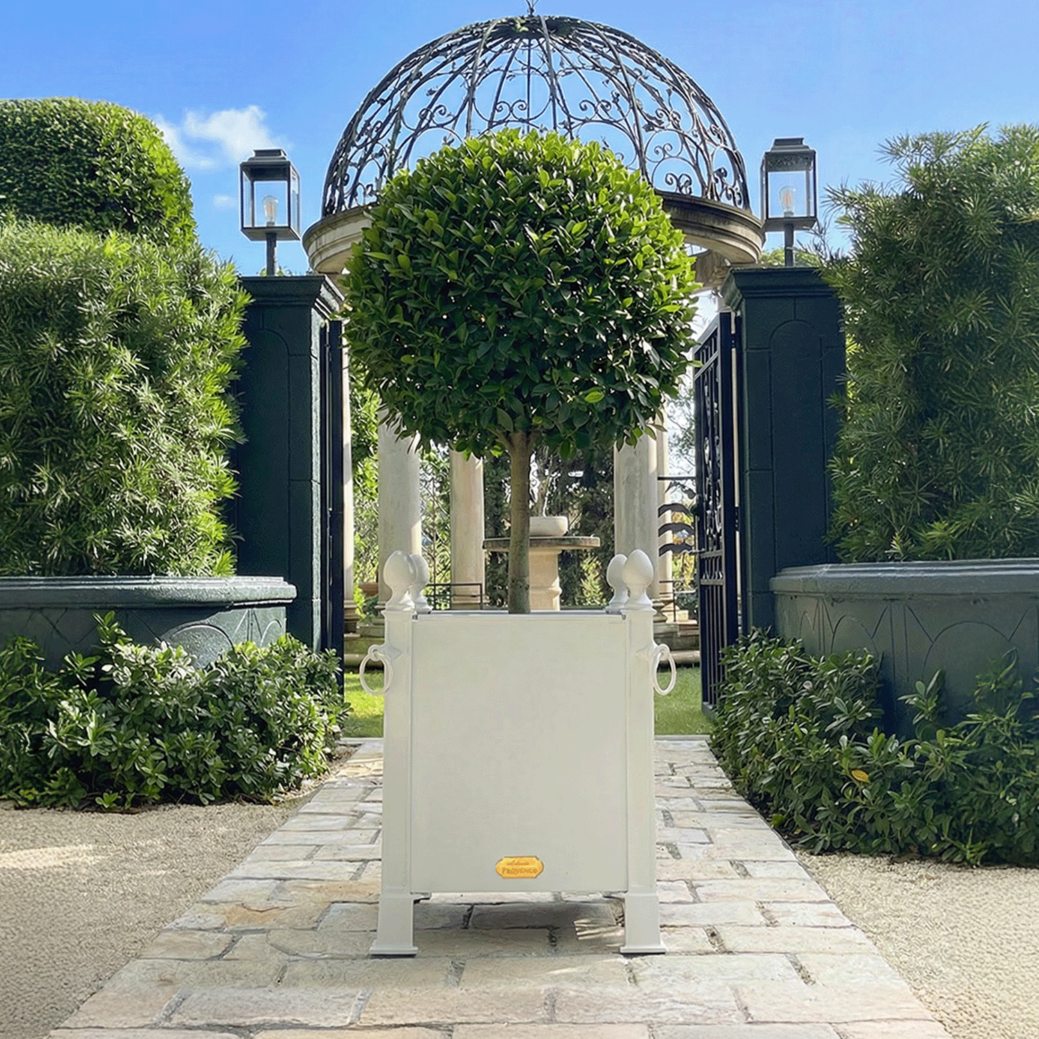 French Orangerie Planter