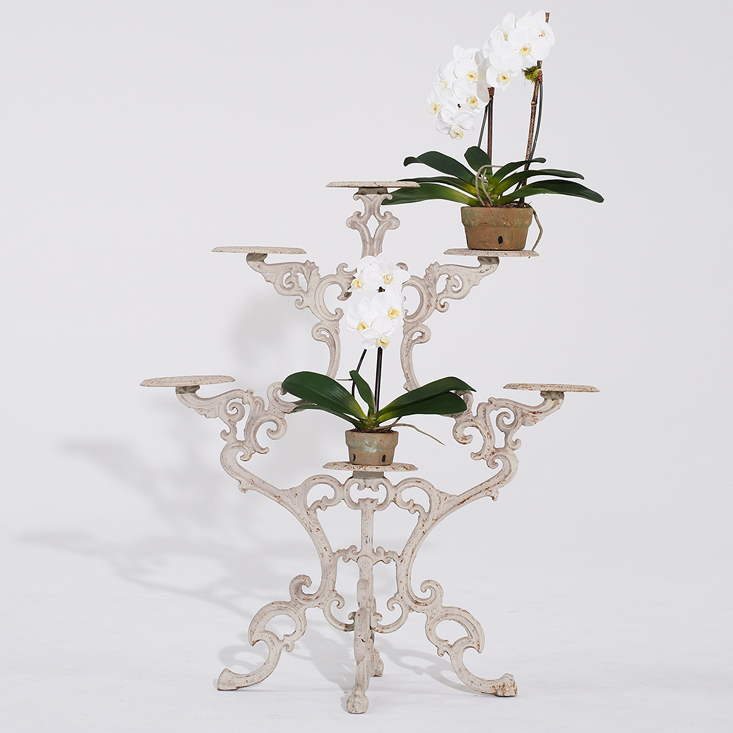 19th Century Victorian Garden Plant Stand