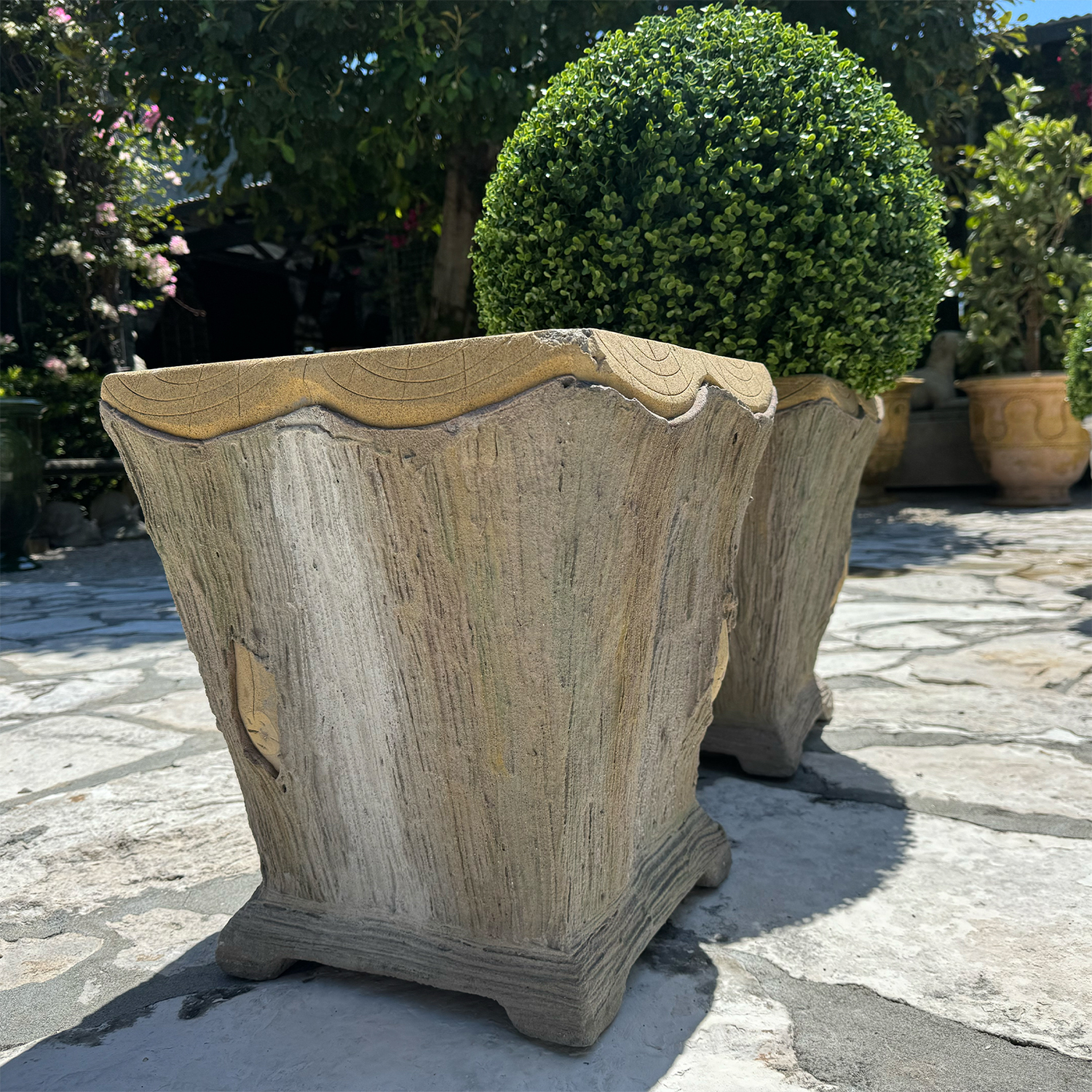 Authentic Provence