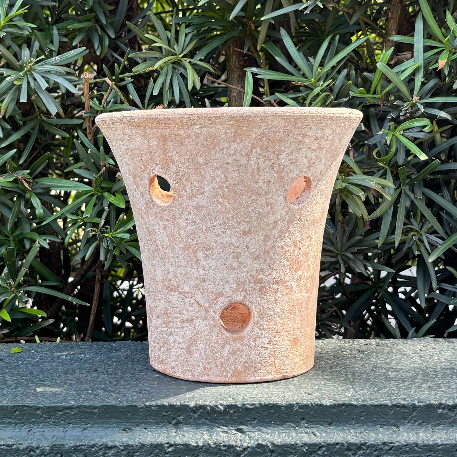 Orchidea Planter