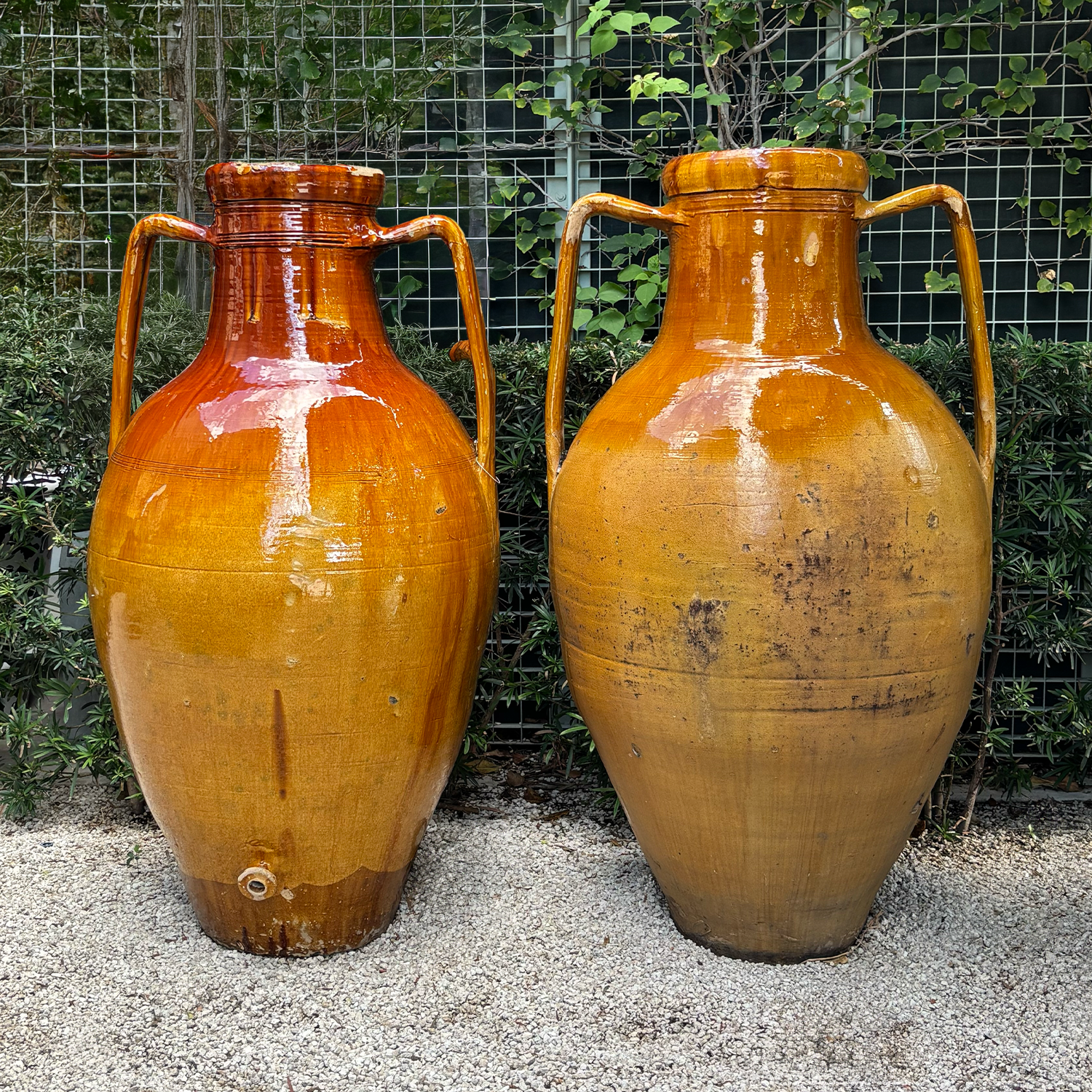 19th Century Monumental Italian Terracotta Olive Oil Jar
