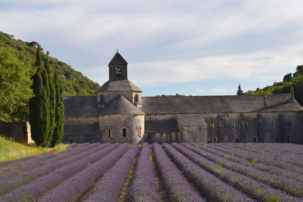 Lavender Wands, Handmade “en Provence”