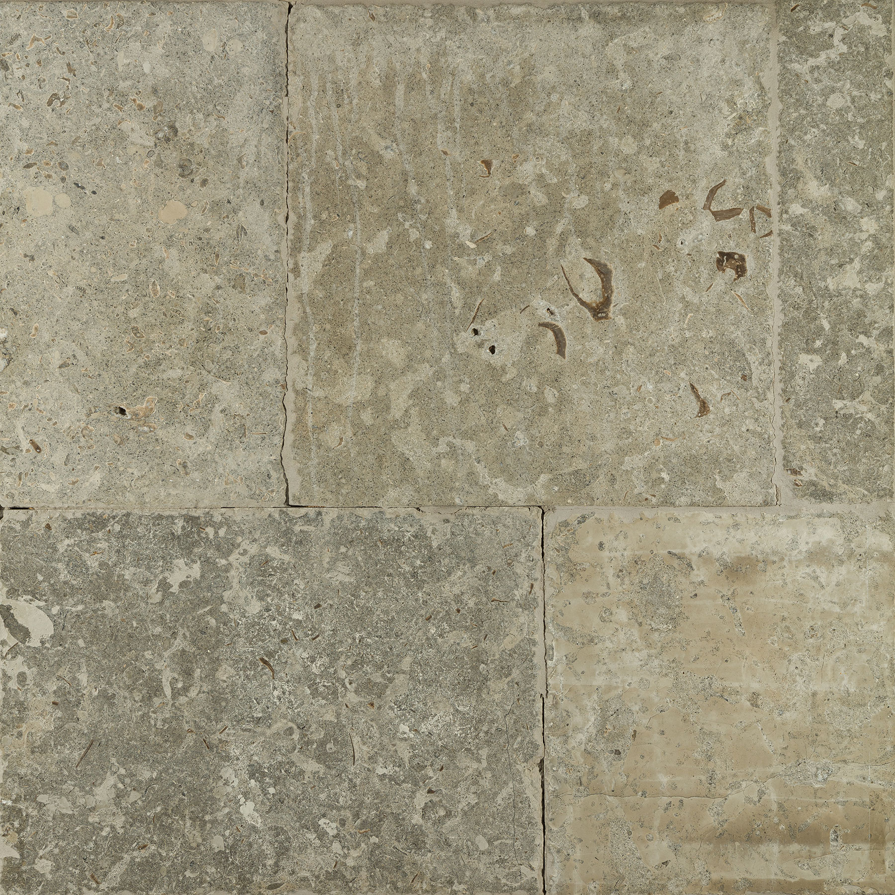 Limestone Floor Tiles: Saganese