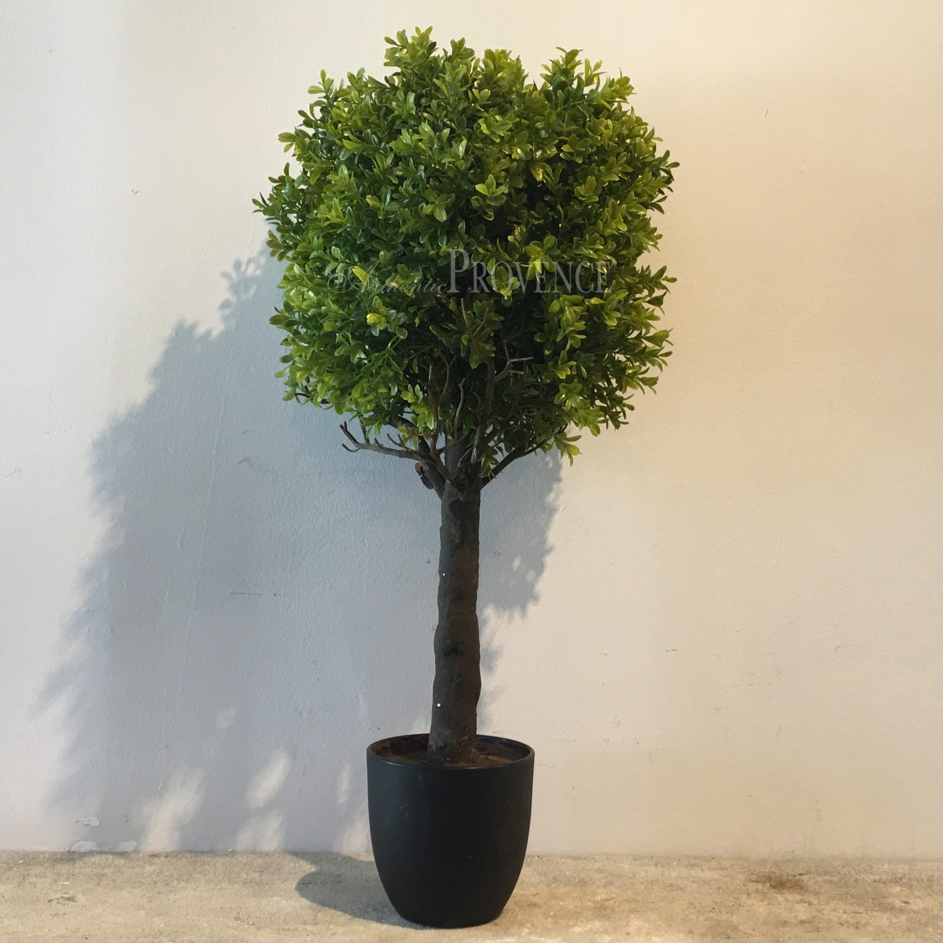 Bluma Topiary