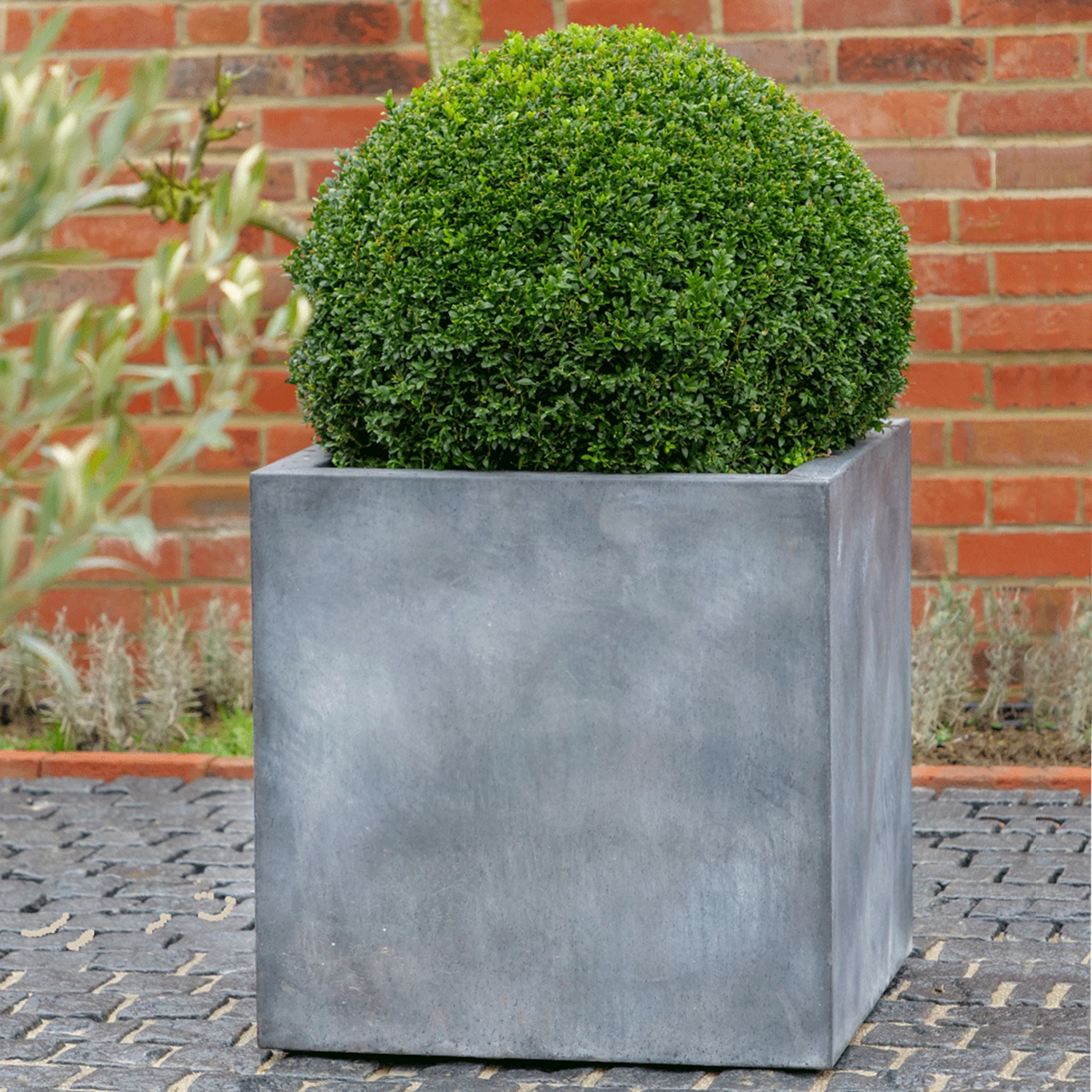 Pair of Achiel Planters