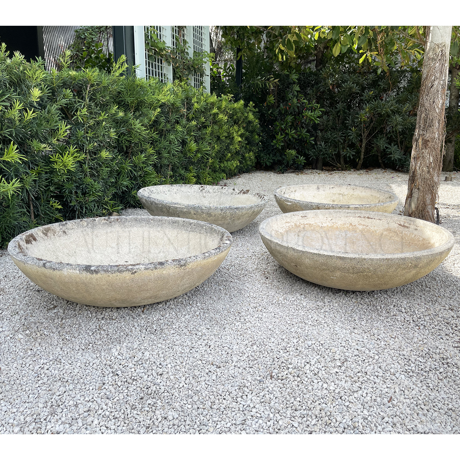 Set of Four Willy Guhl Planter Bowls