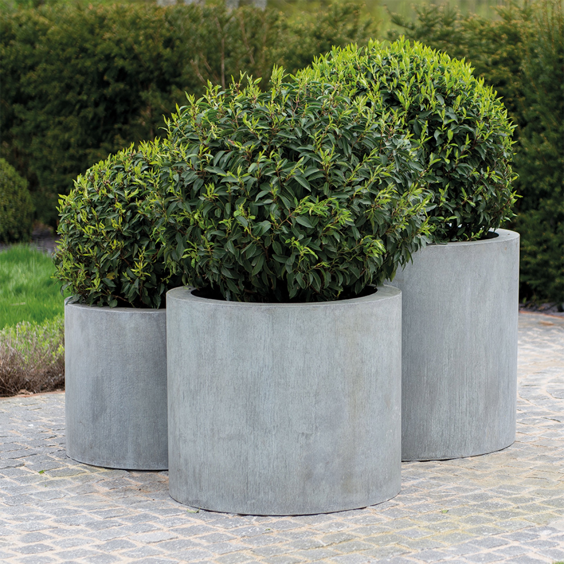 Elijas Round Planter