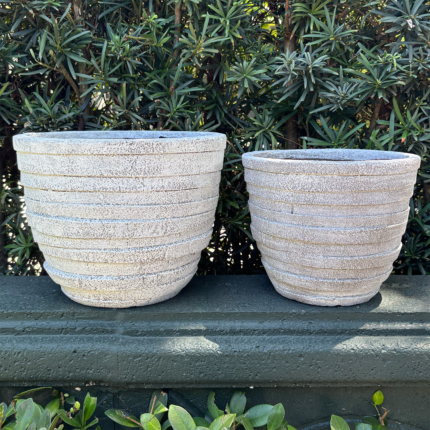 Terra Cotta Pot