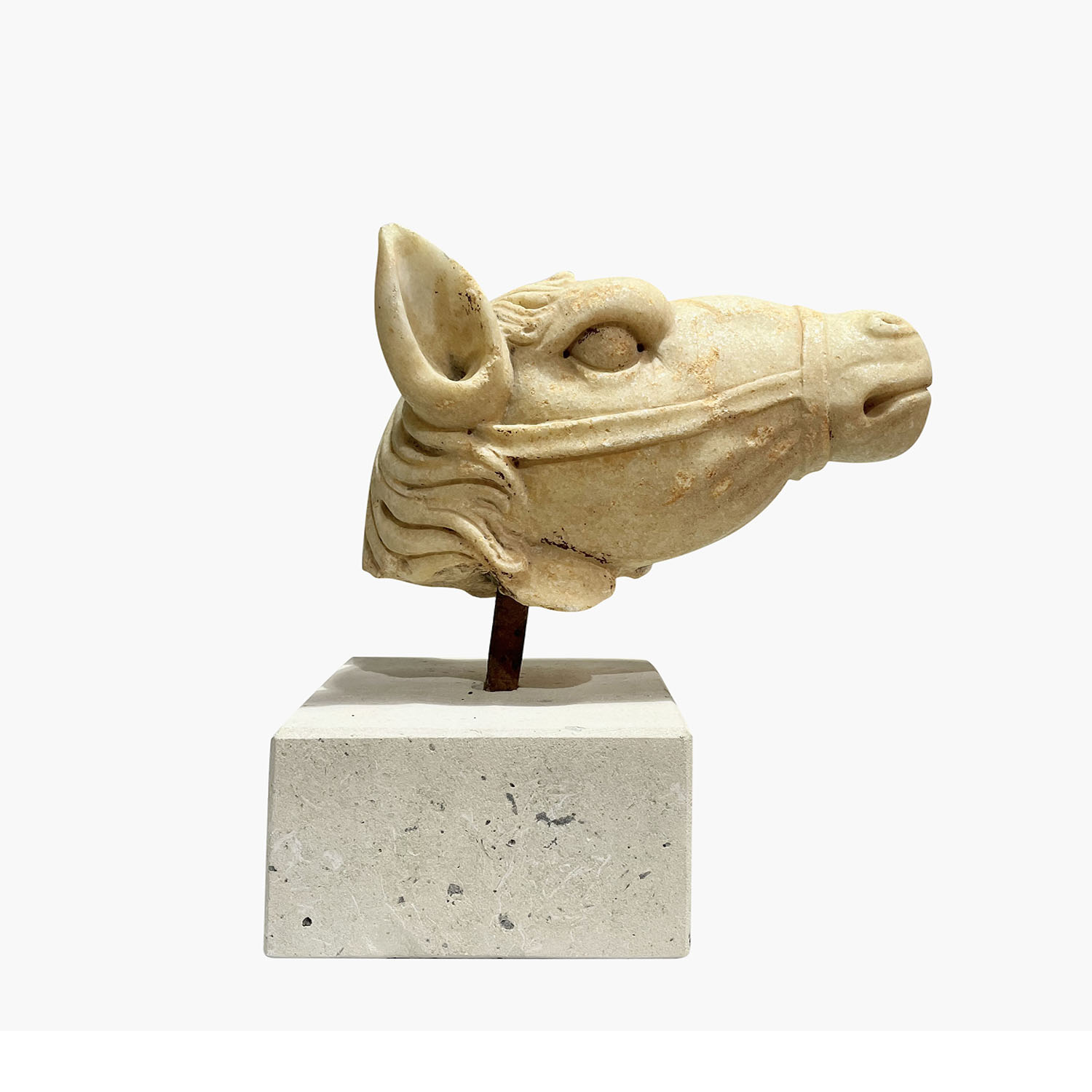 19th Century Italian Carrara Marble Horse Head Sculpture