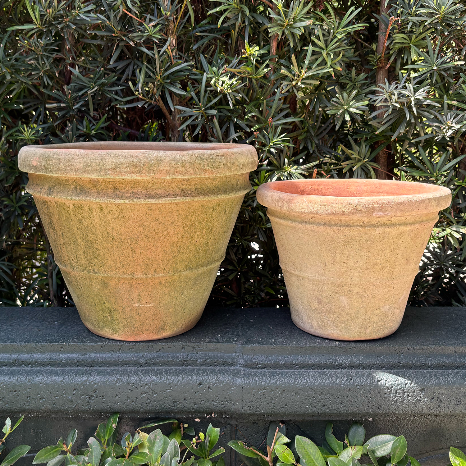 Terra Cotta Planter