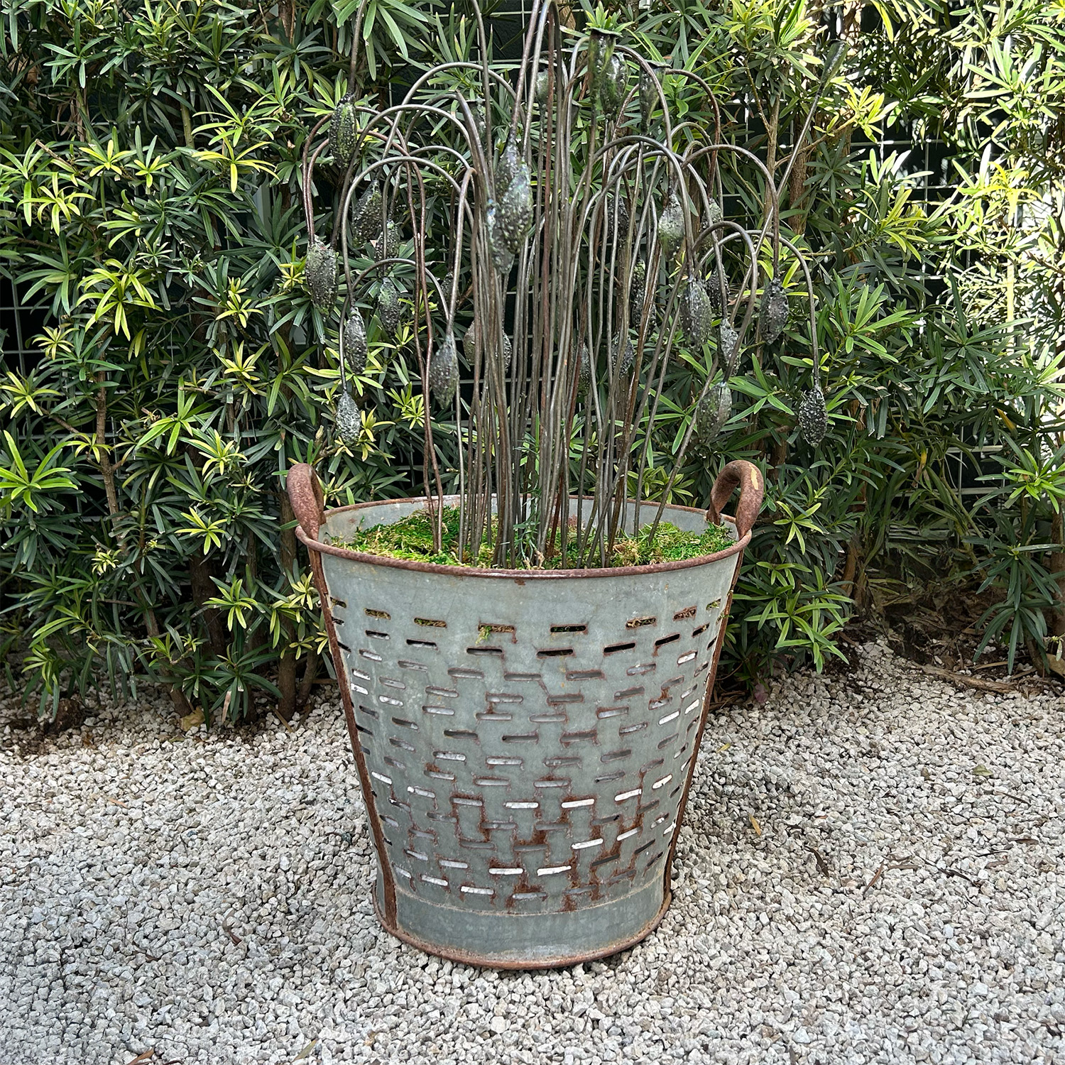 Galvanized Metal Flower Basket from France