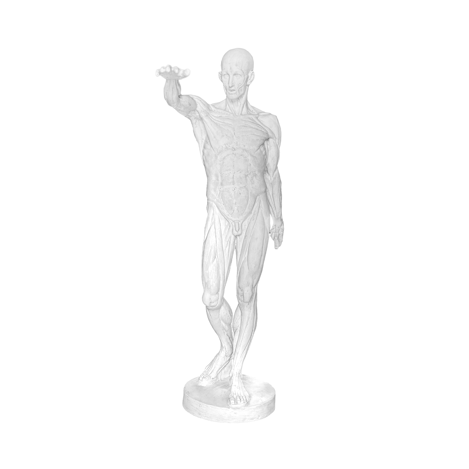20th Century French Plaster Anatomical Man in the Style of Jean-Antoine Houdon