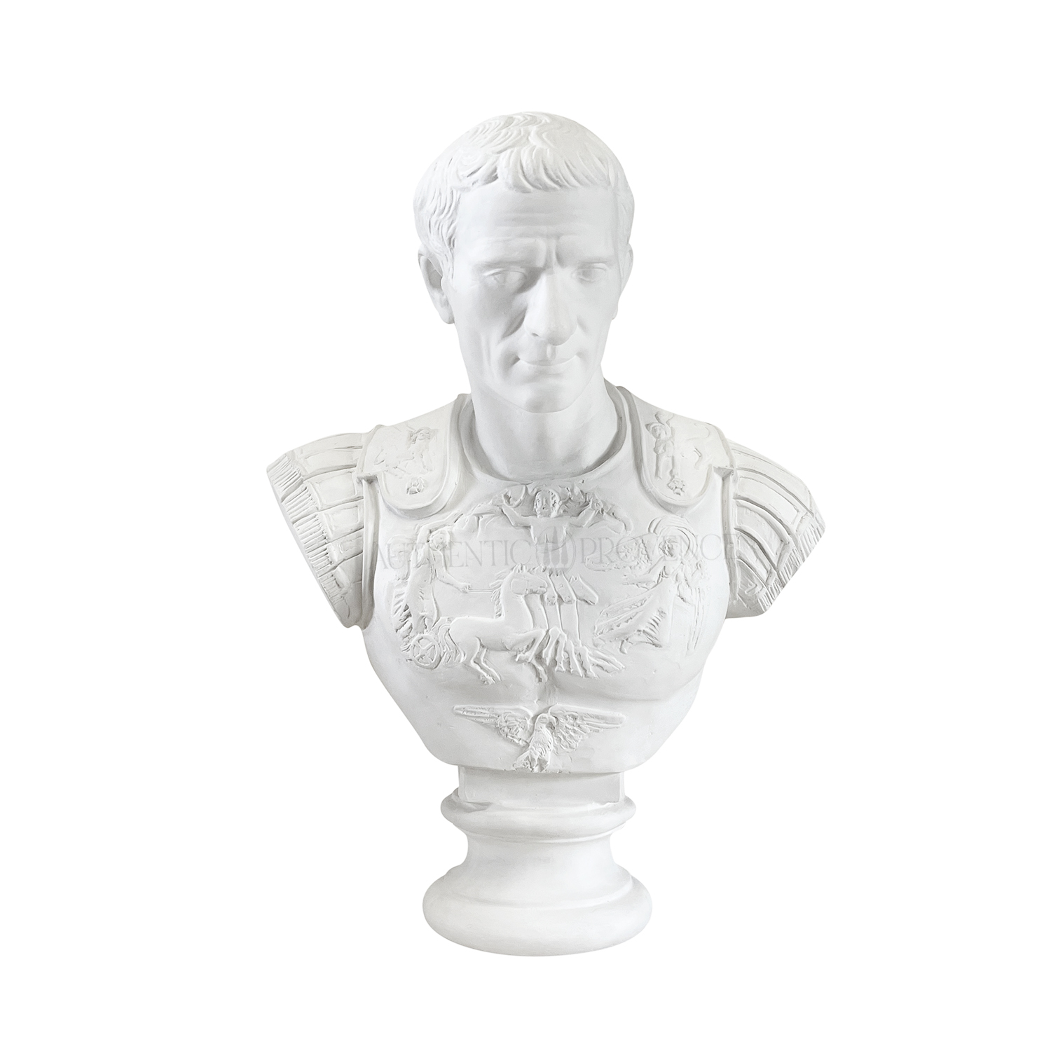 The Bust of Julius Caesar in Plaster