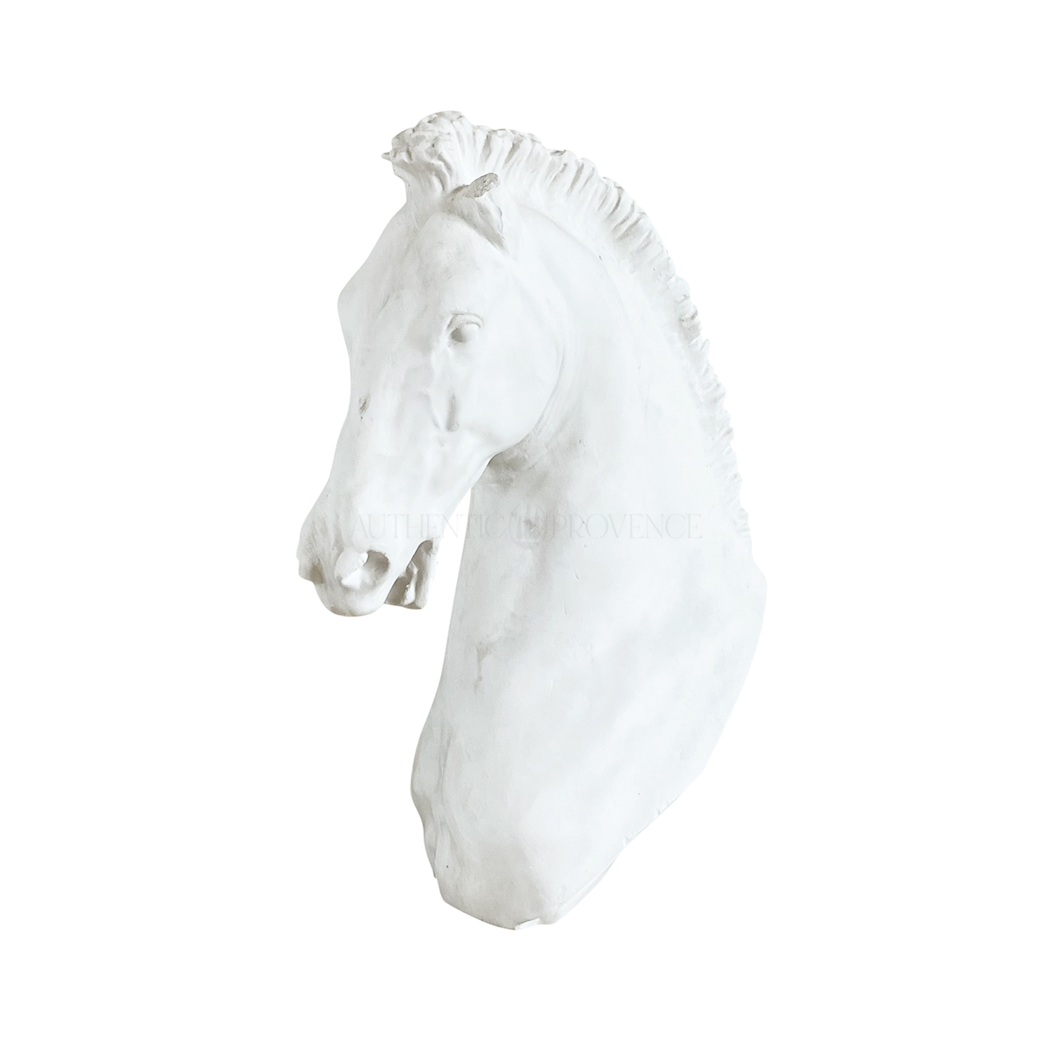 Horse of Turino in Plaster