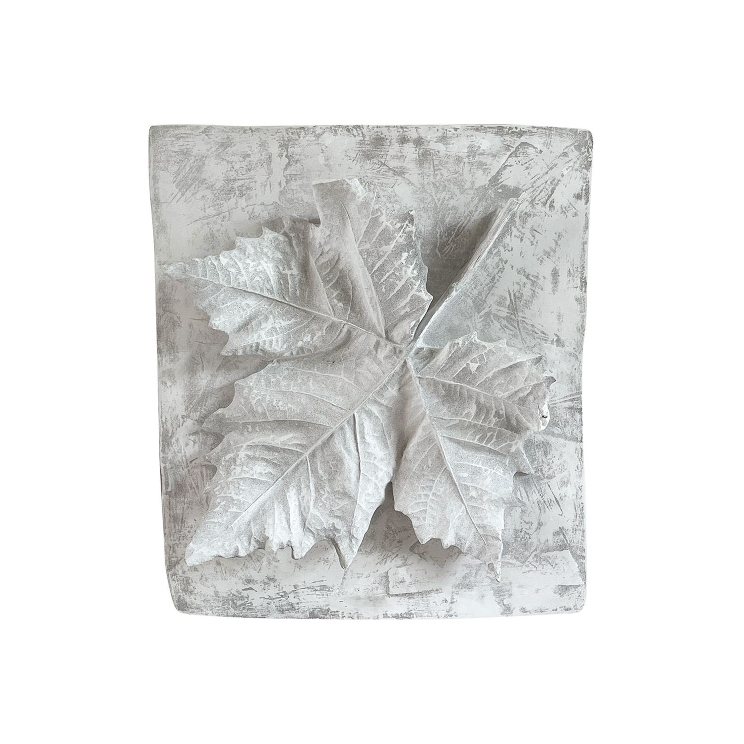 20th Century French Vintage Wall Plaster Relief of a Oak Leaf Study