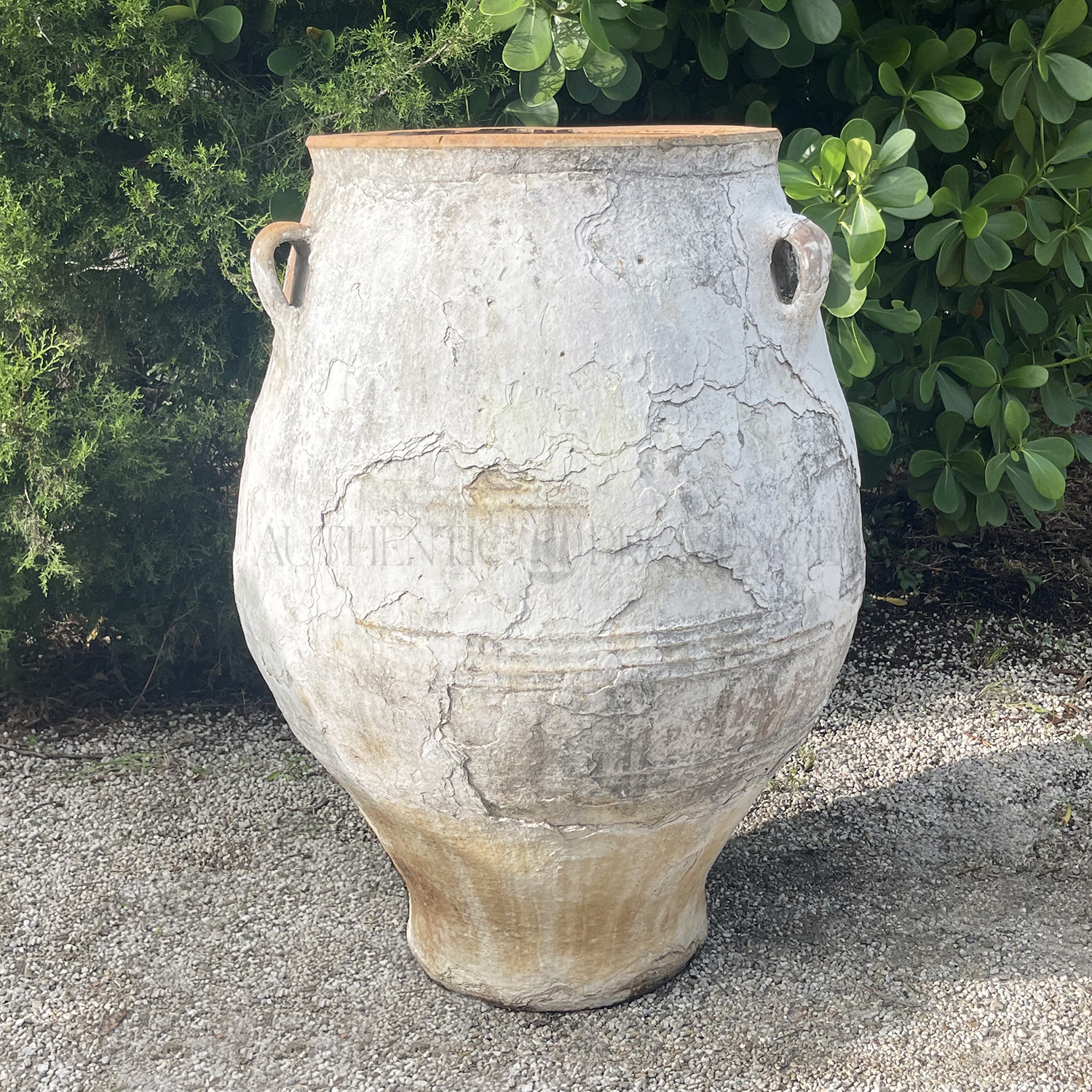 Large Scale Antique Greek Jar