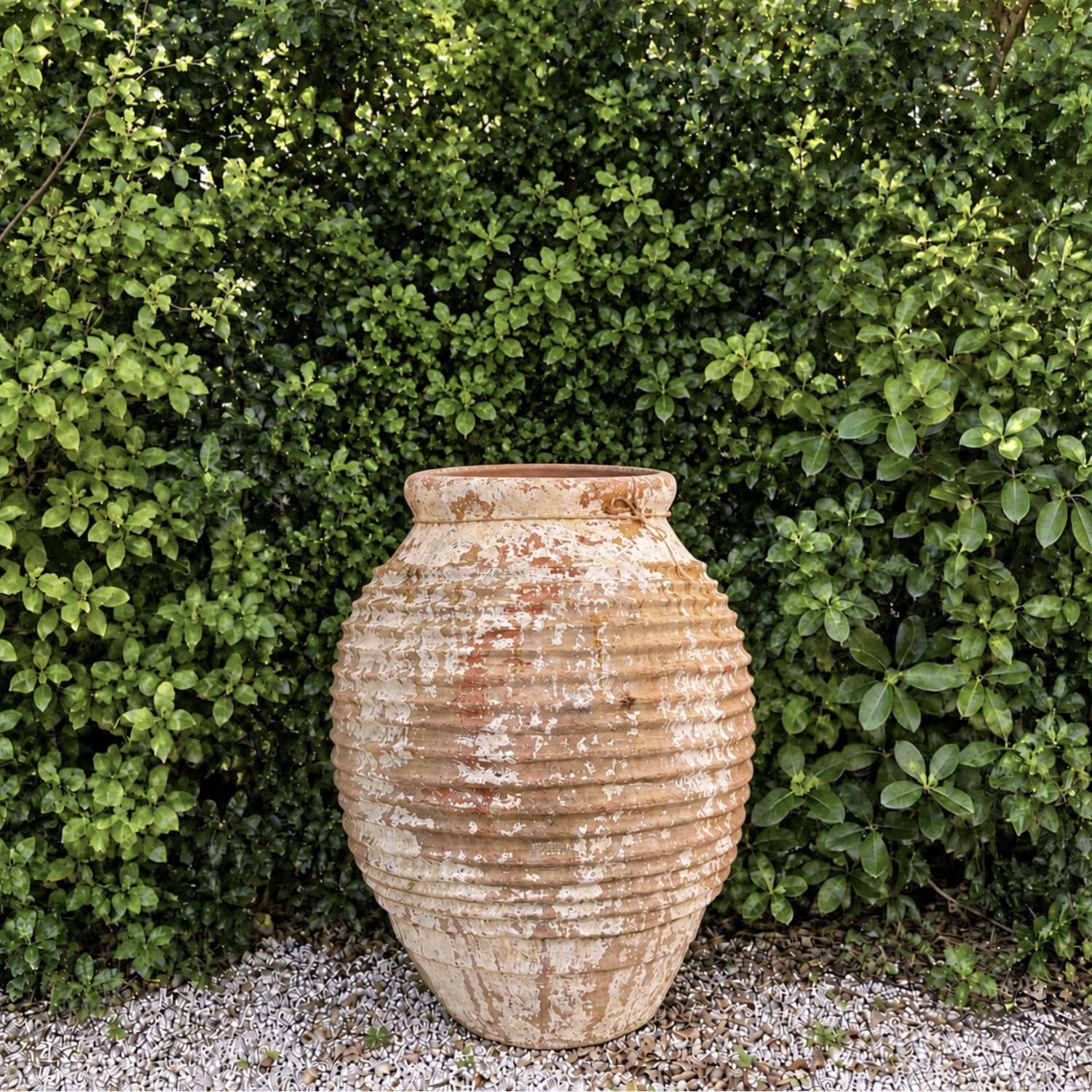 Authentic Provence