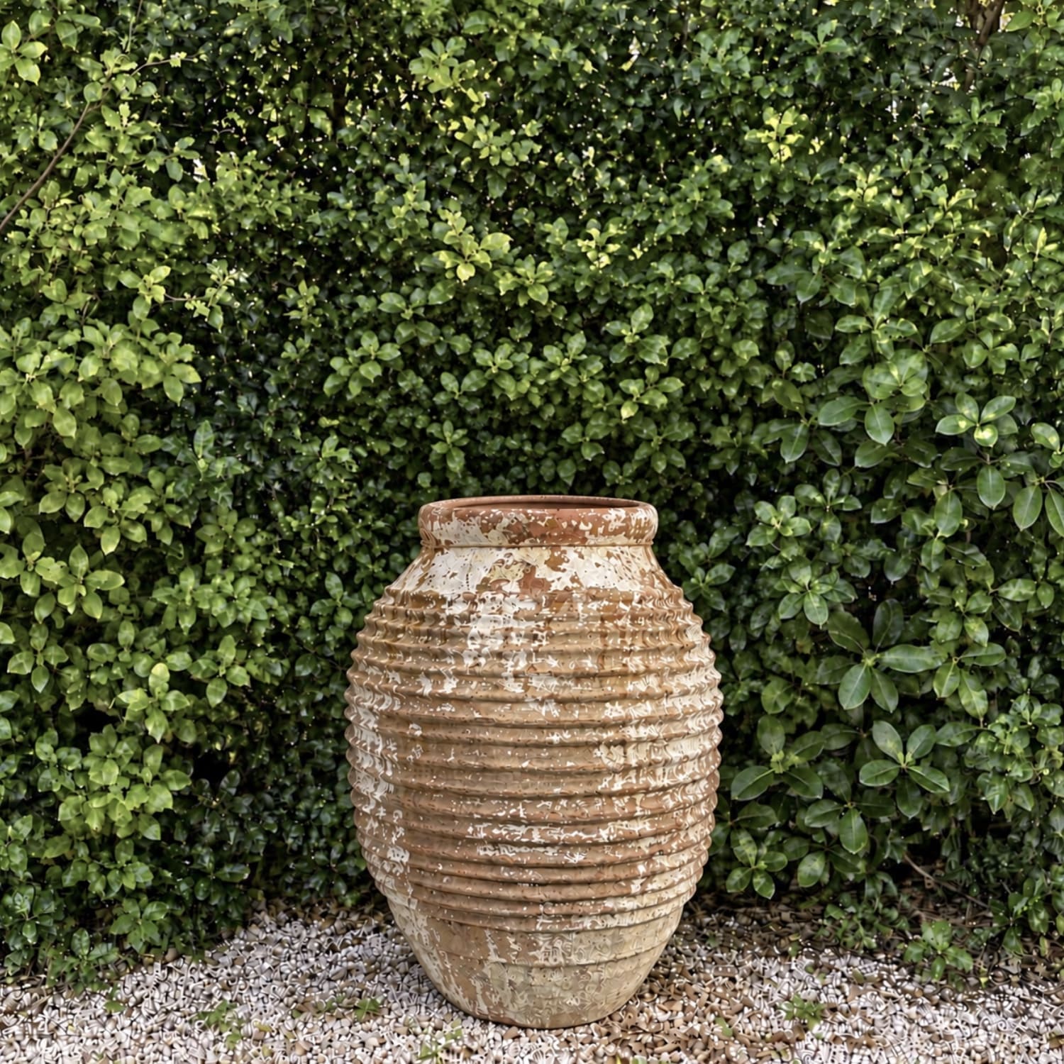 Authentic Provence