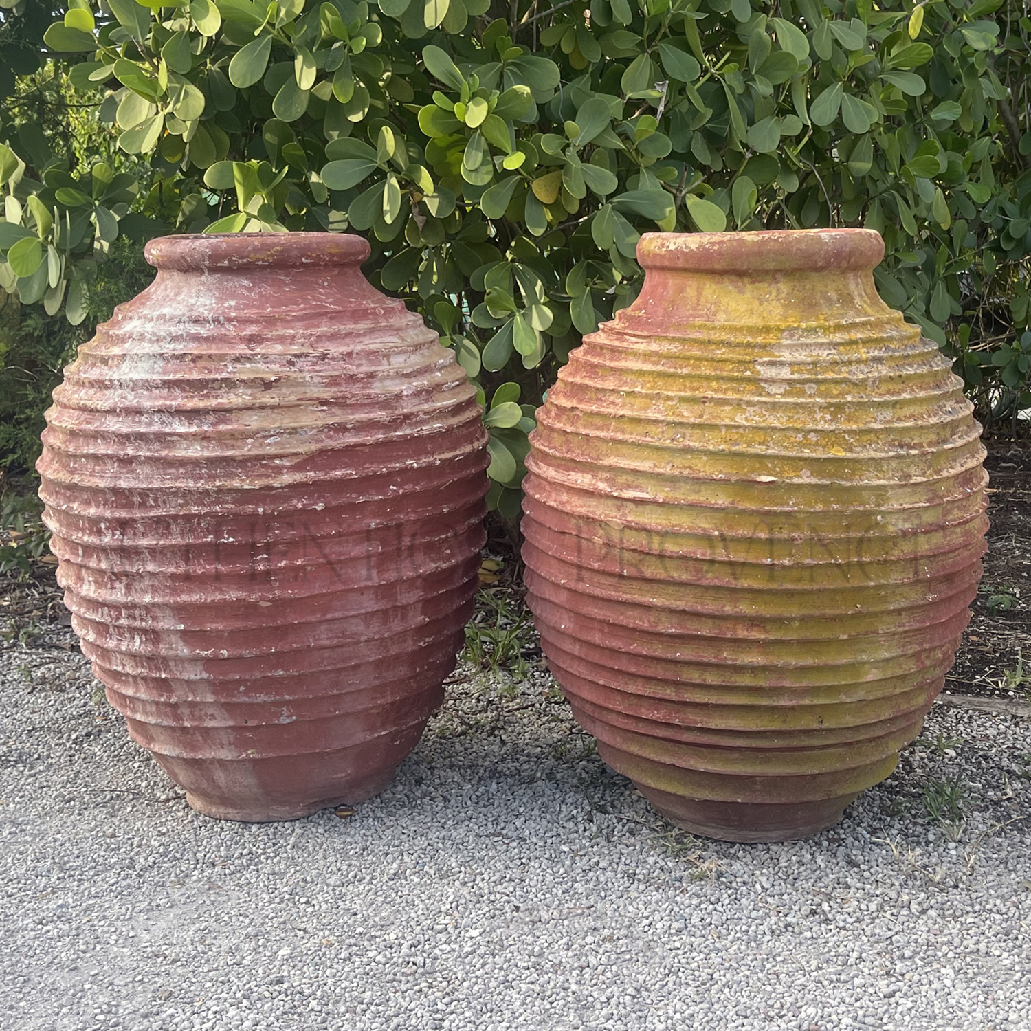 Pair of Antique Greek Red Olive Jars