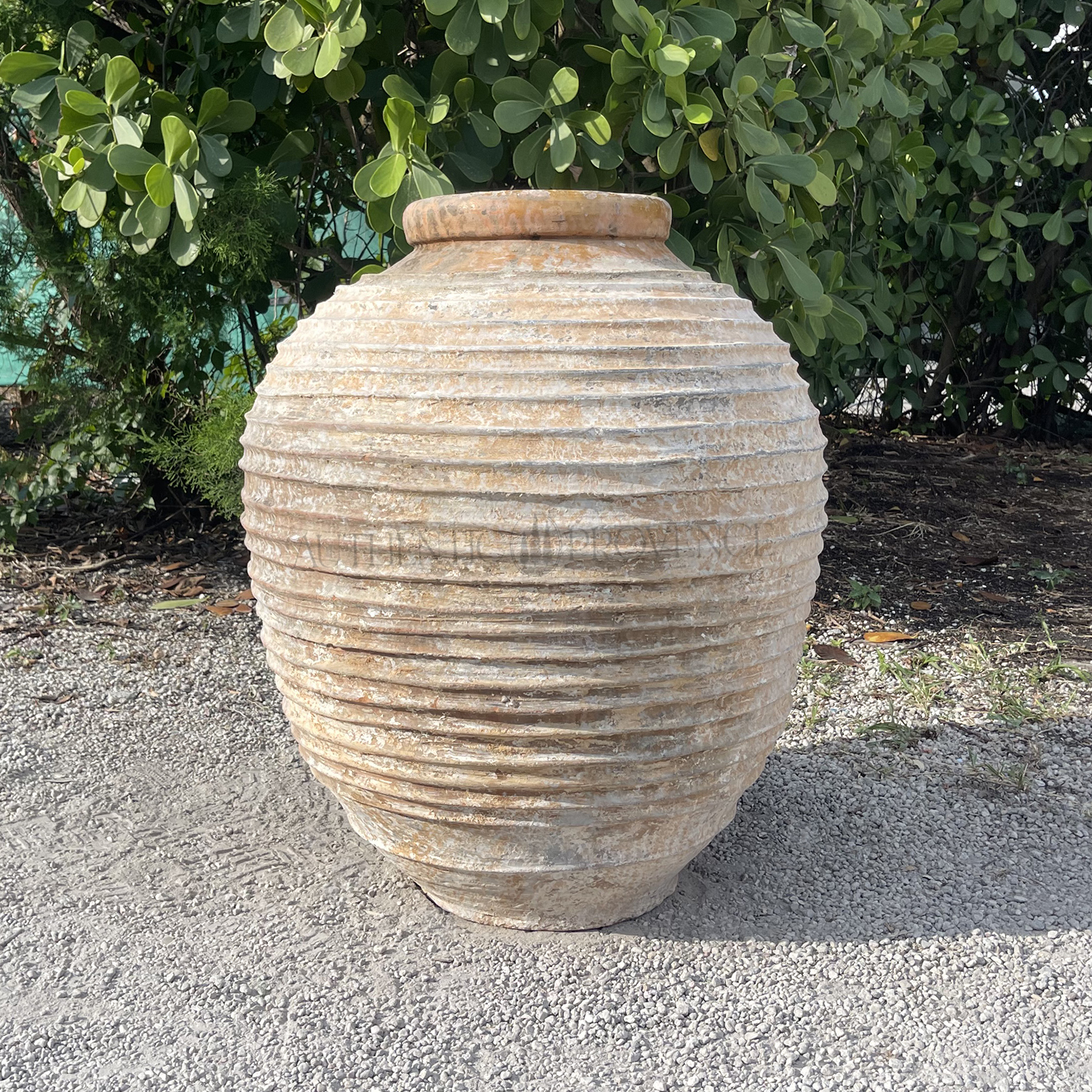 19th Century Mediterranean Garden Urn