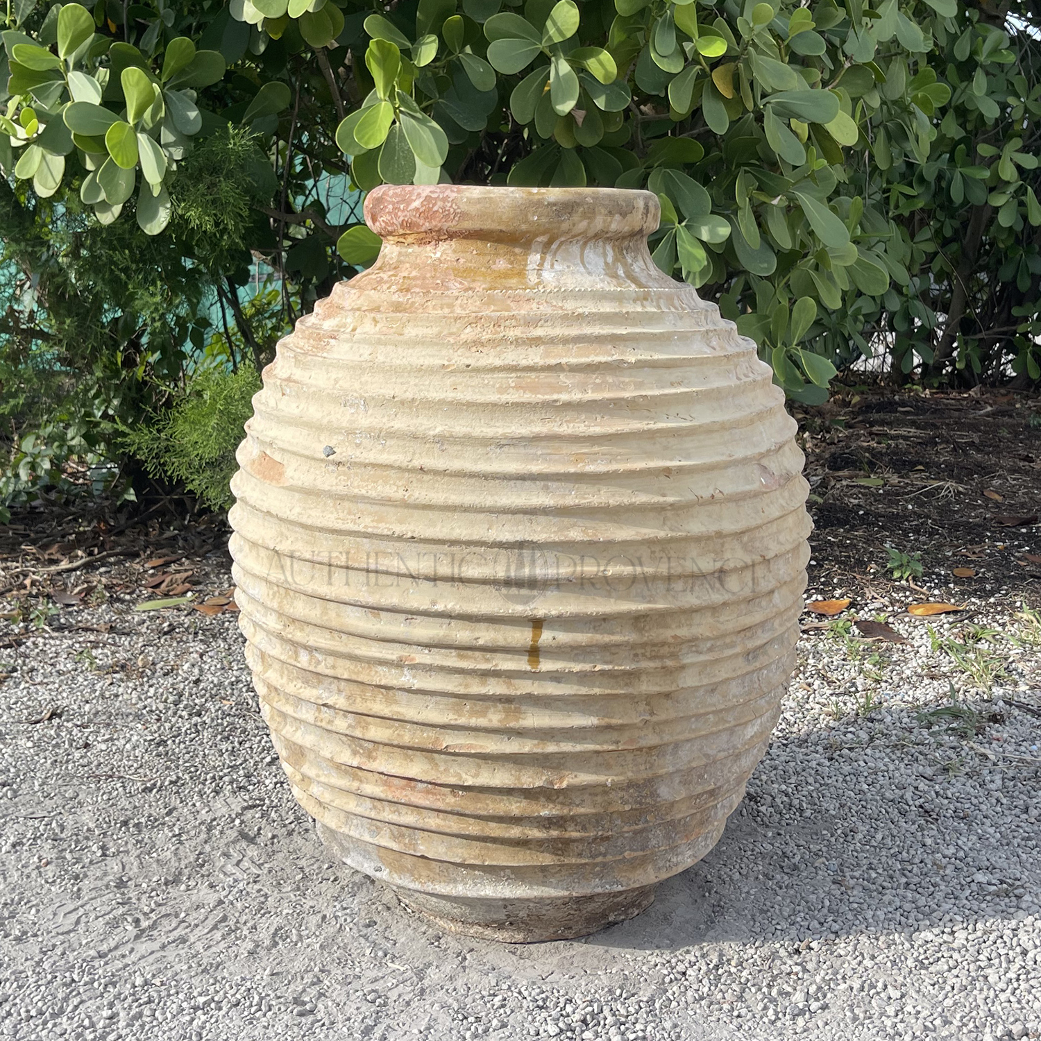 19th Century Terracotta Olive Oil Jar
