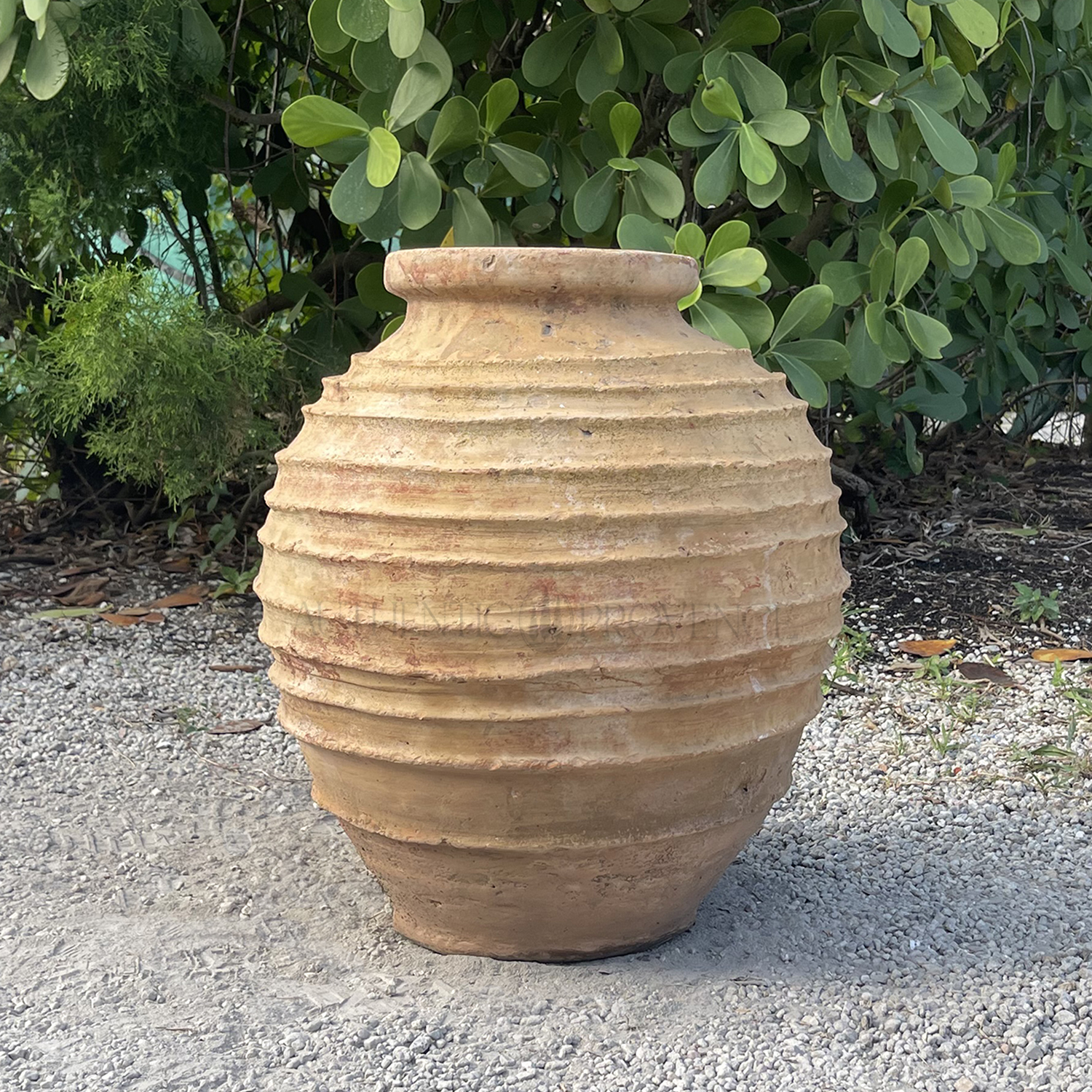 Small Greek Terracotta Olive Jar