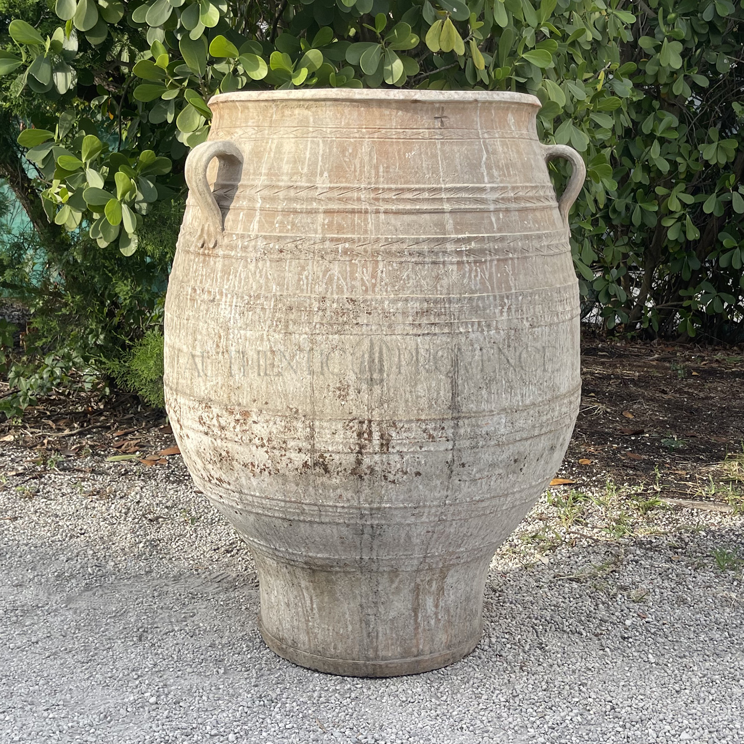 Large 19th Century Mediterranean Urn