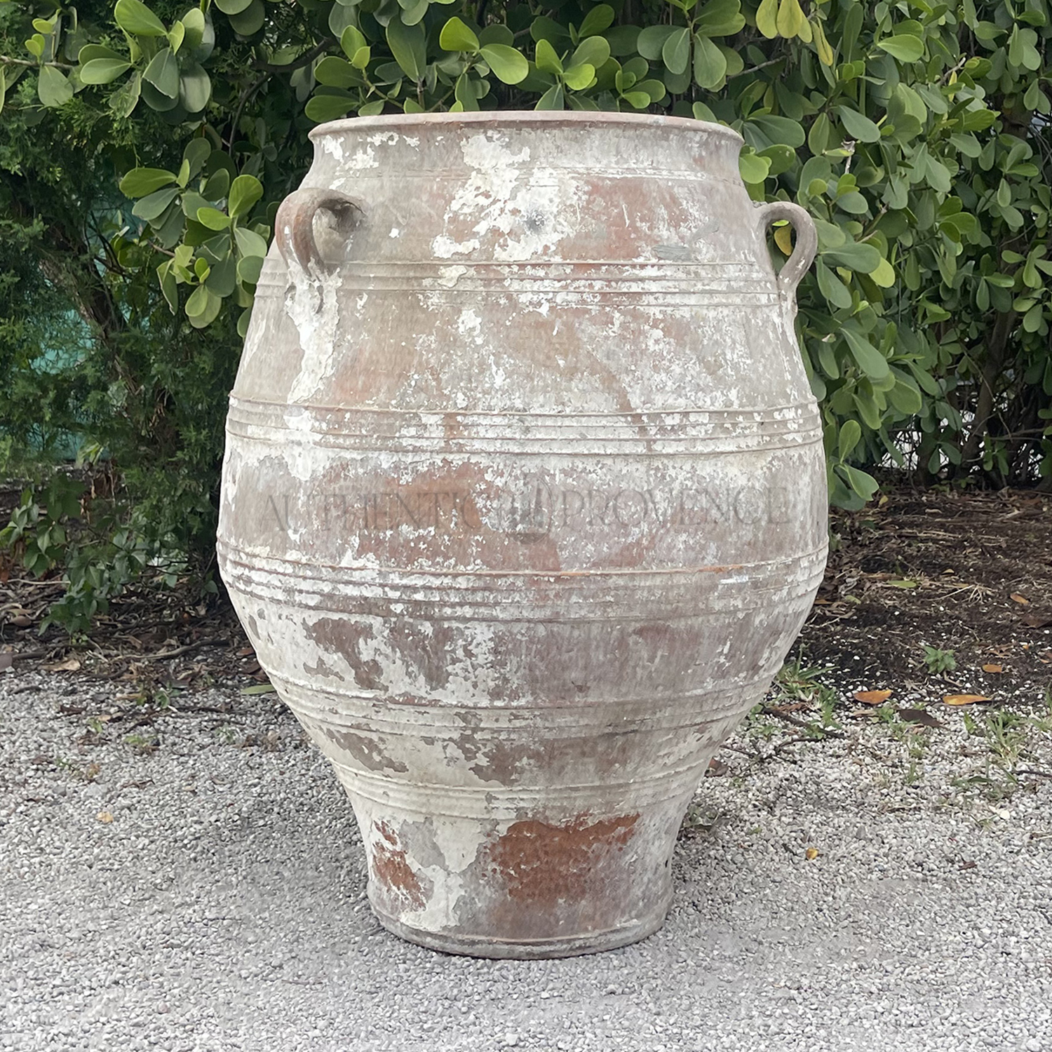 Large Antique Greek Terracotta Jar