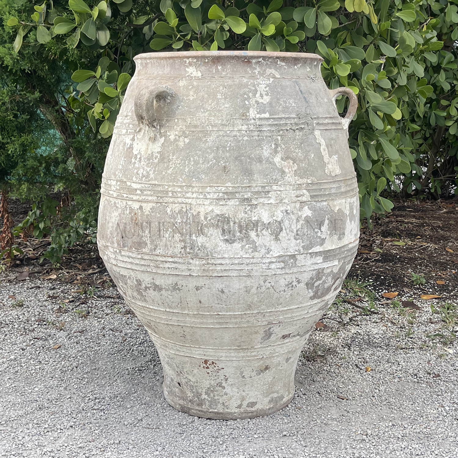 Large Antique Mediterranean White Washed Jar