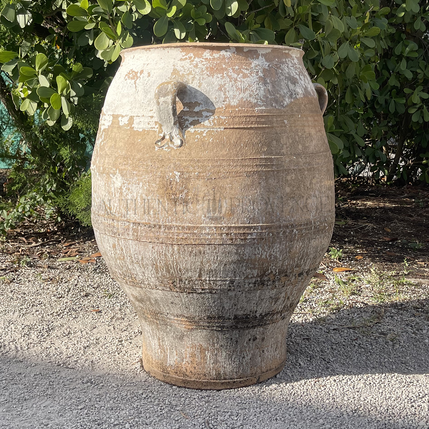 Large Antique Mediterranean Terracotta Urn