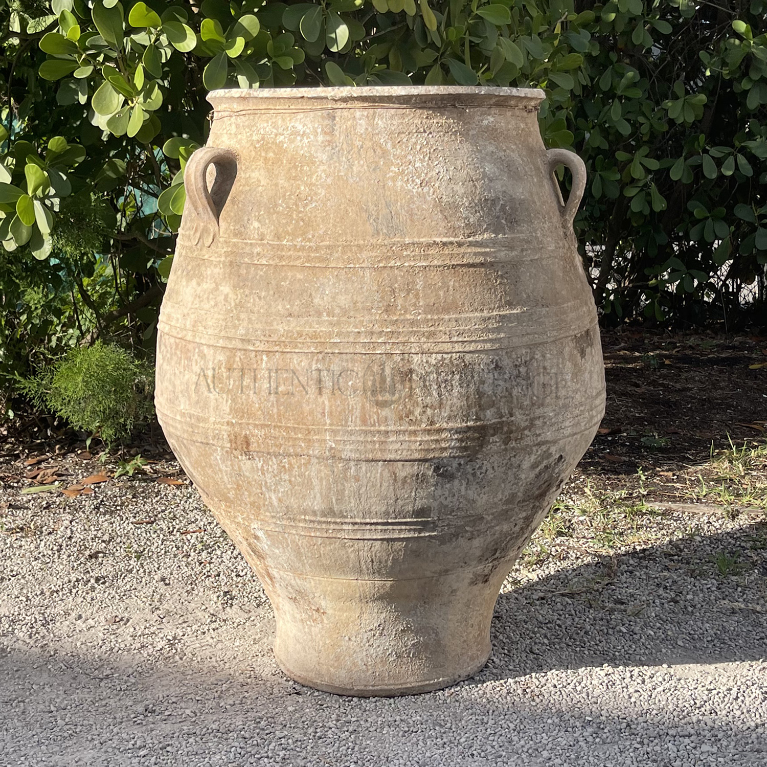 Antique Mediterranean Terracotta Olive Jar