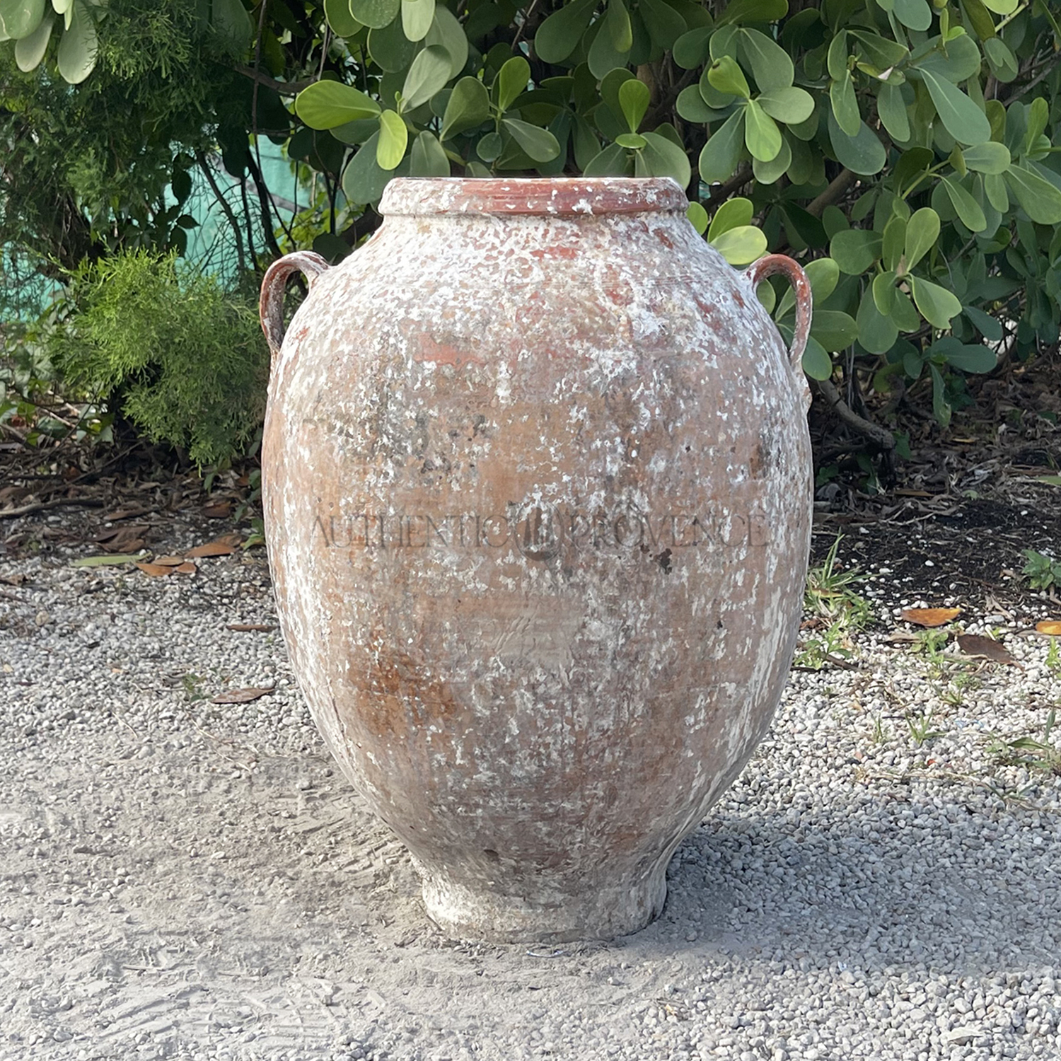 Small Antique Mediterranean Terracotta Urn