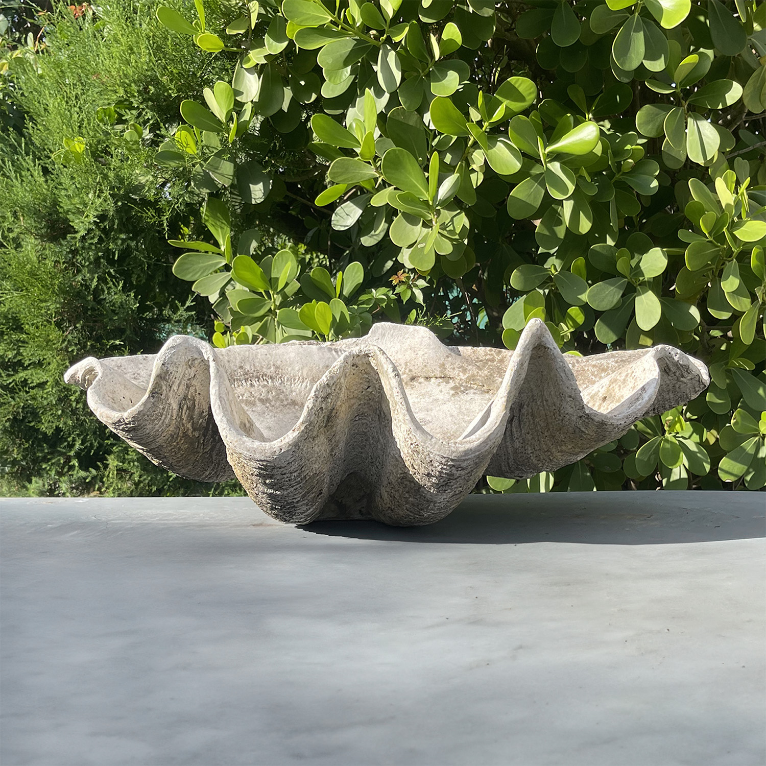 Large Shell Planter in Cement from France