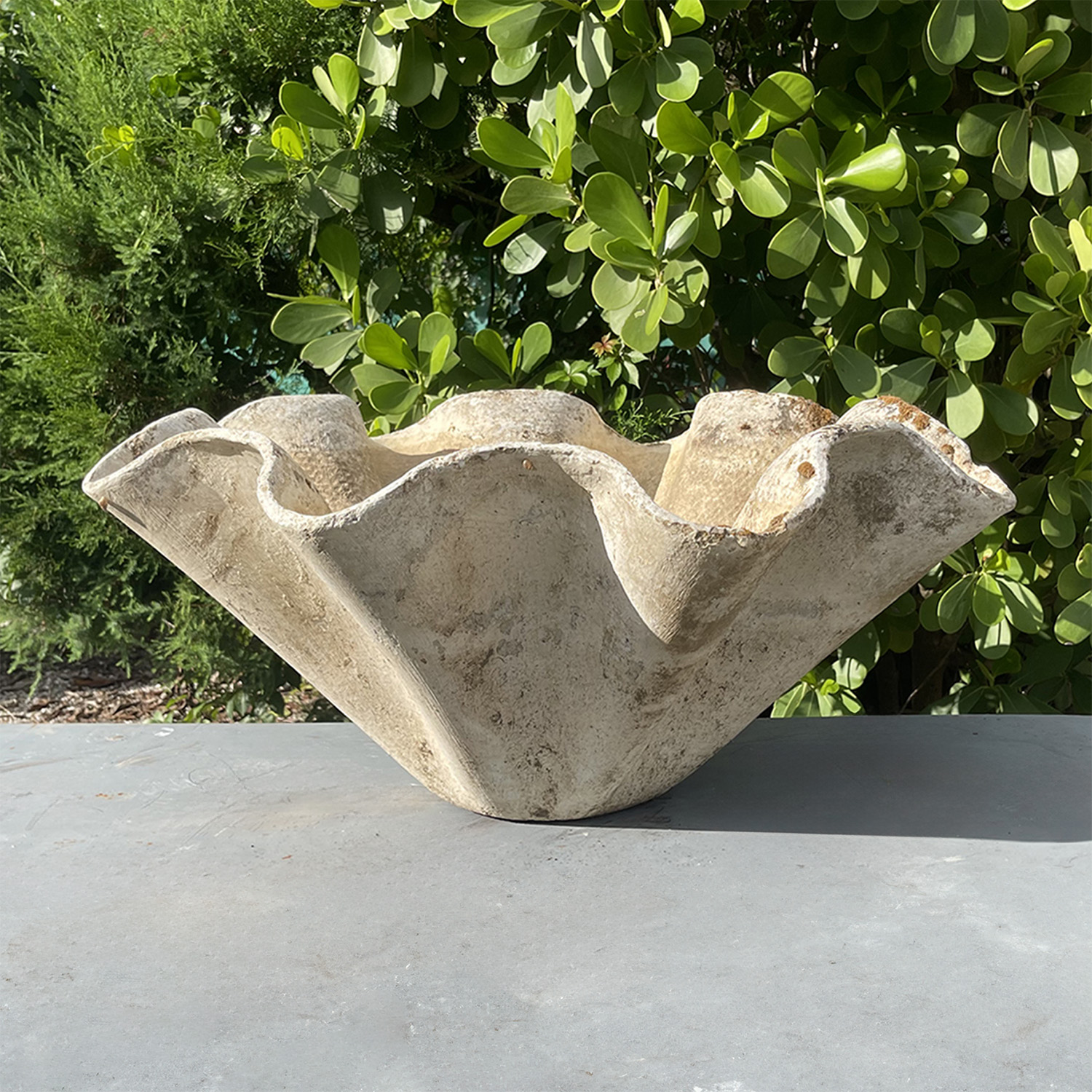 Large Biomorphic Garden Planter designed by Willy Guhl