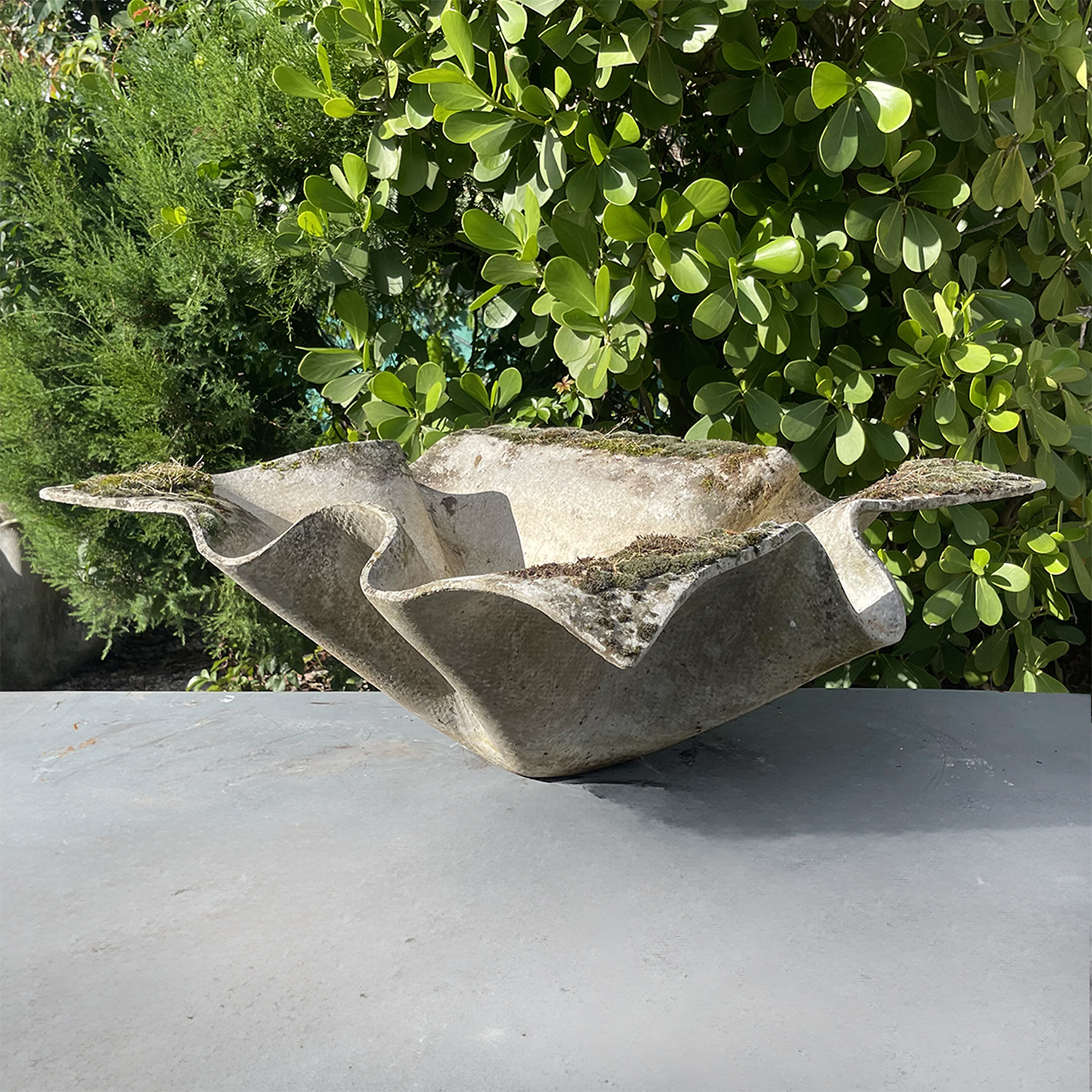 A Vintage Elephant Ear or Handkerchief Garden Planter by Willy Guhl