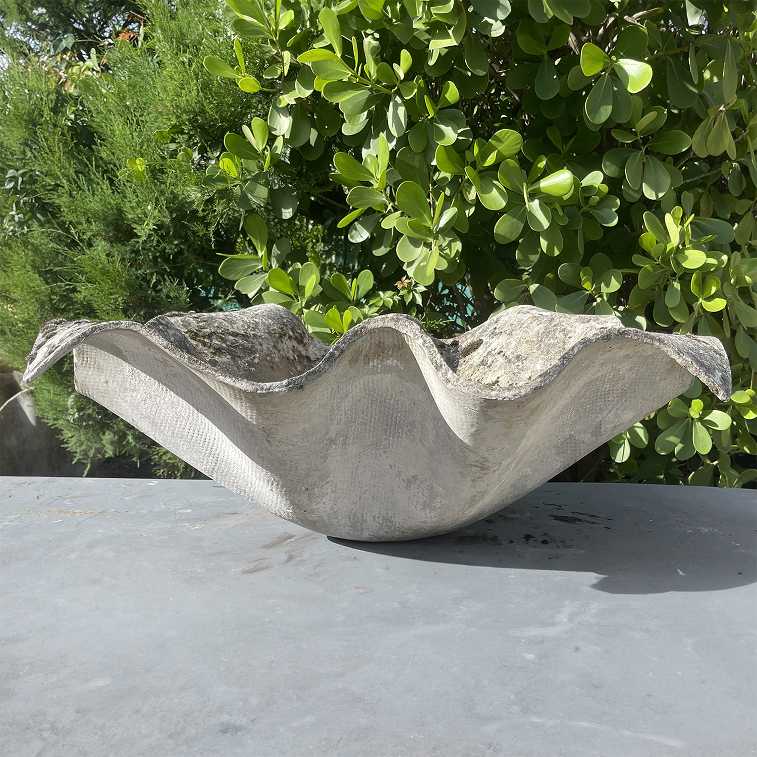 A Vintage Handkerchief or Elephant Ear Garden Planter by Willy Guhl