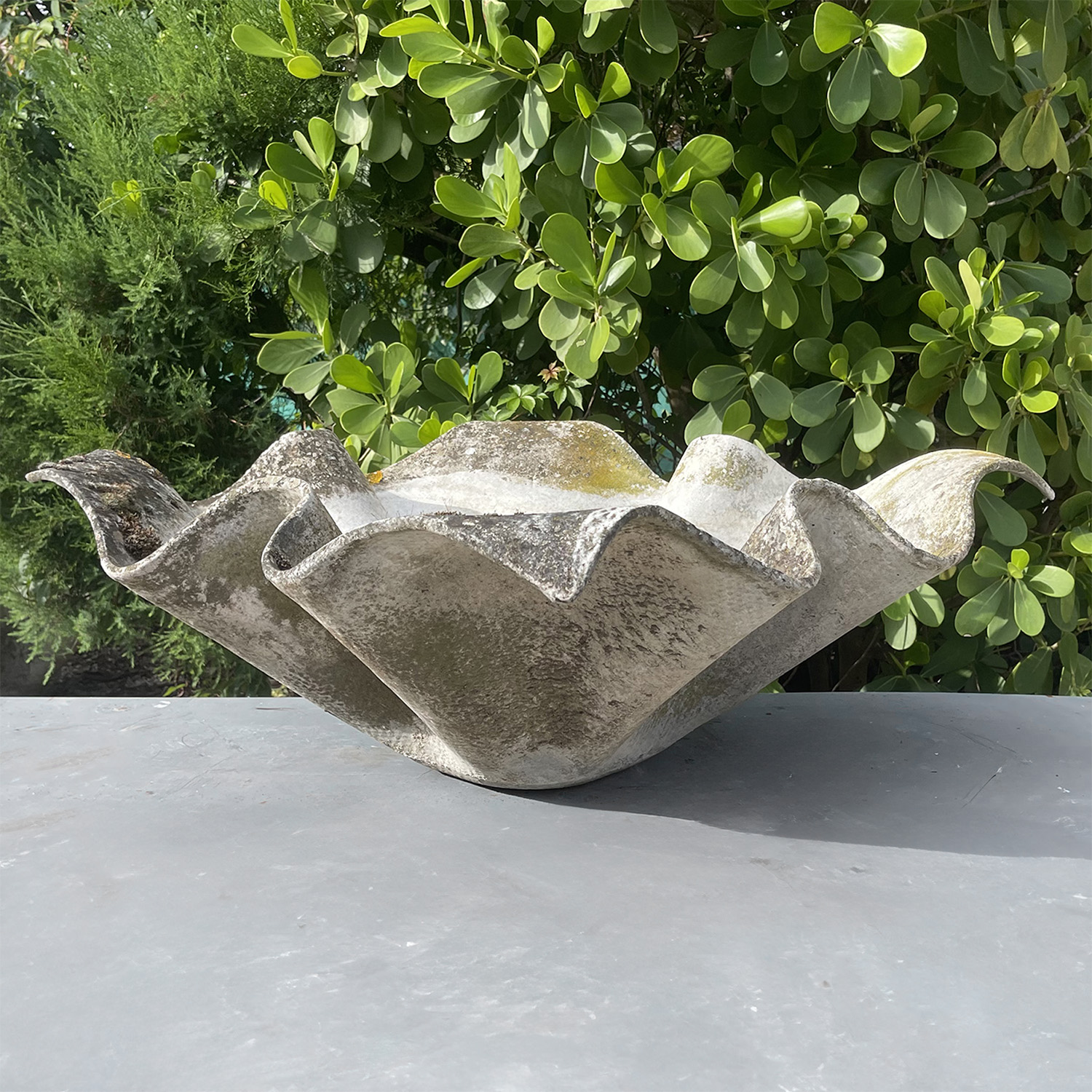 A Vintage Massive Handkerchief or Elephant Ear Garden Planter by Willy Guhl