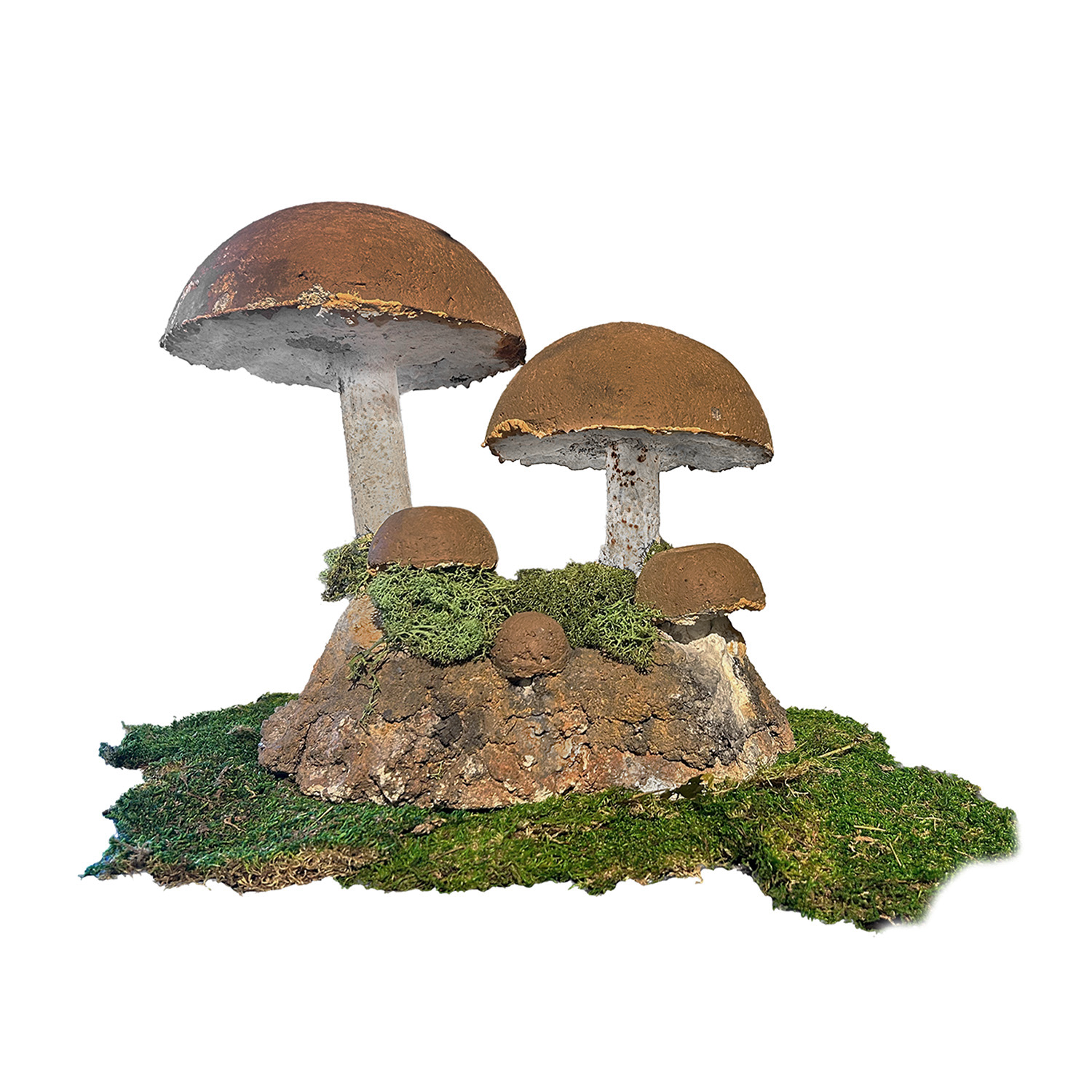 A Botanical Specimen of a Mid-Century Bolete Fungi in Cement