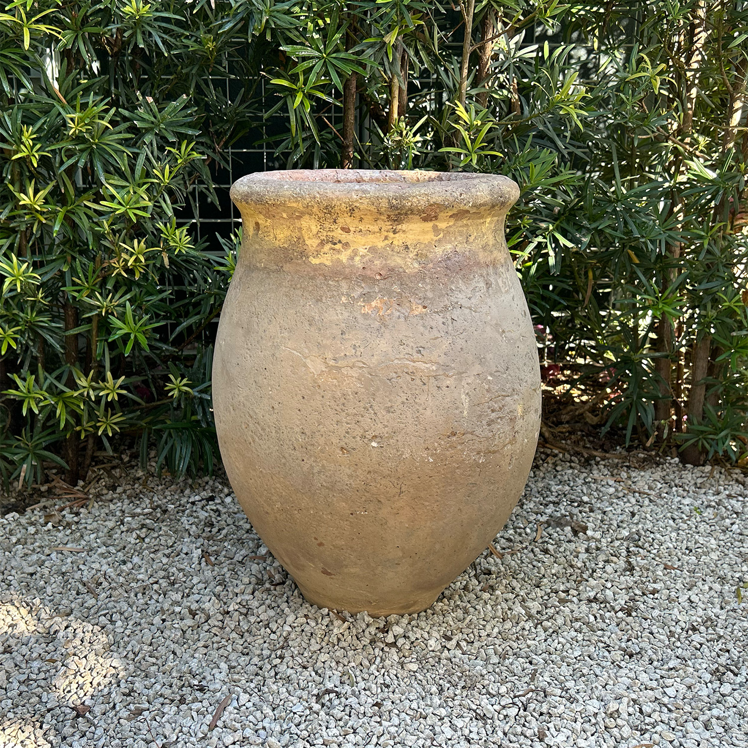 Terracotta Biot Olive Jar 19th Century from Provence