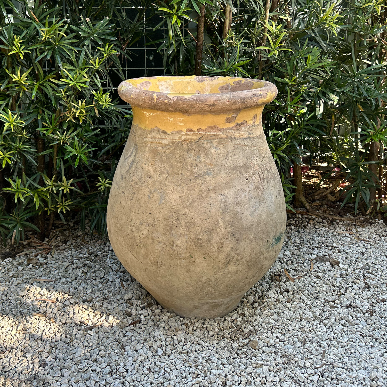 French Biot Olive Jar 19th Century in Terracotta