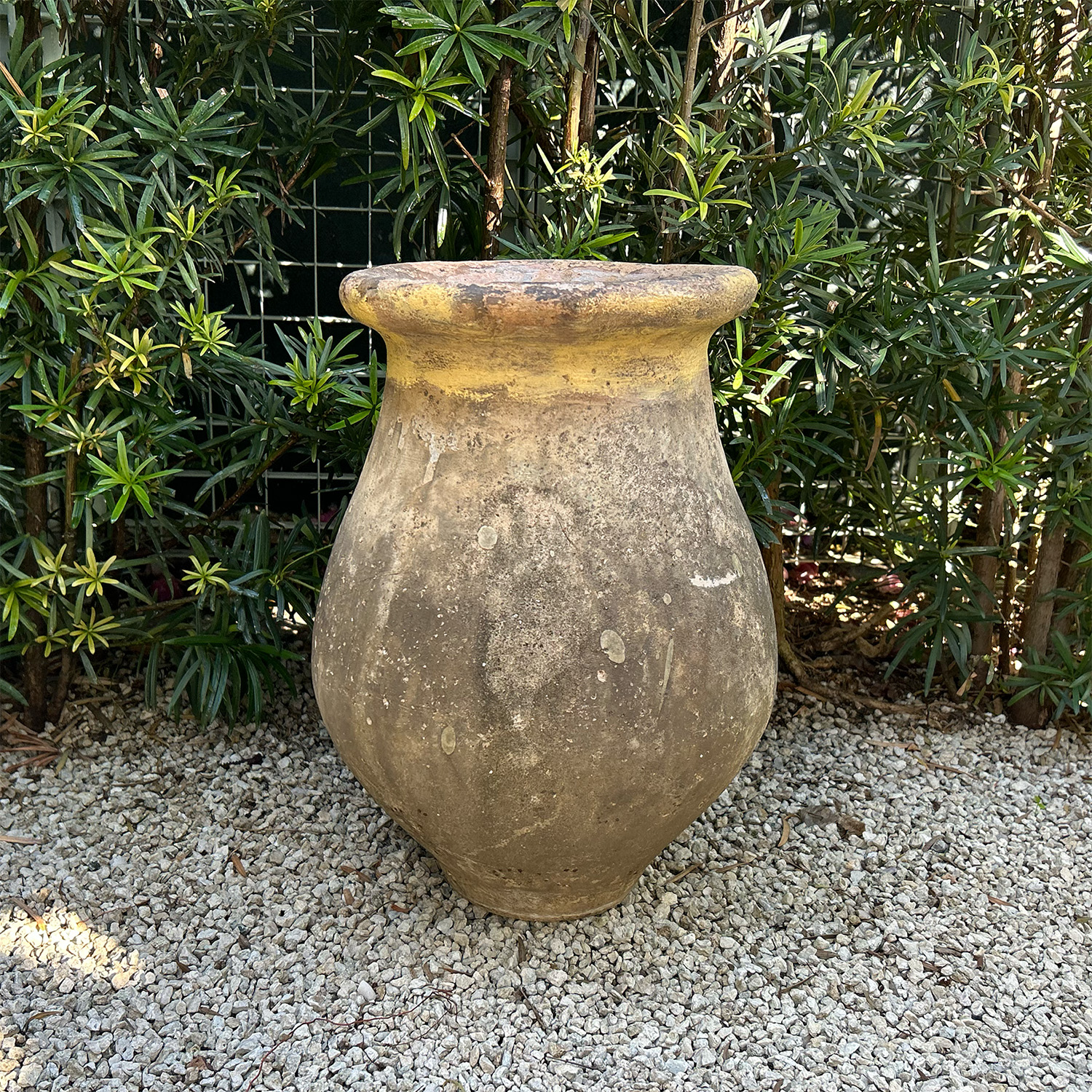 Provencal Olive Jar in Terracotta from the 19th Century