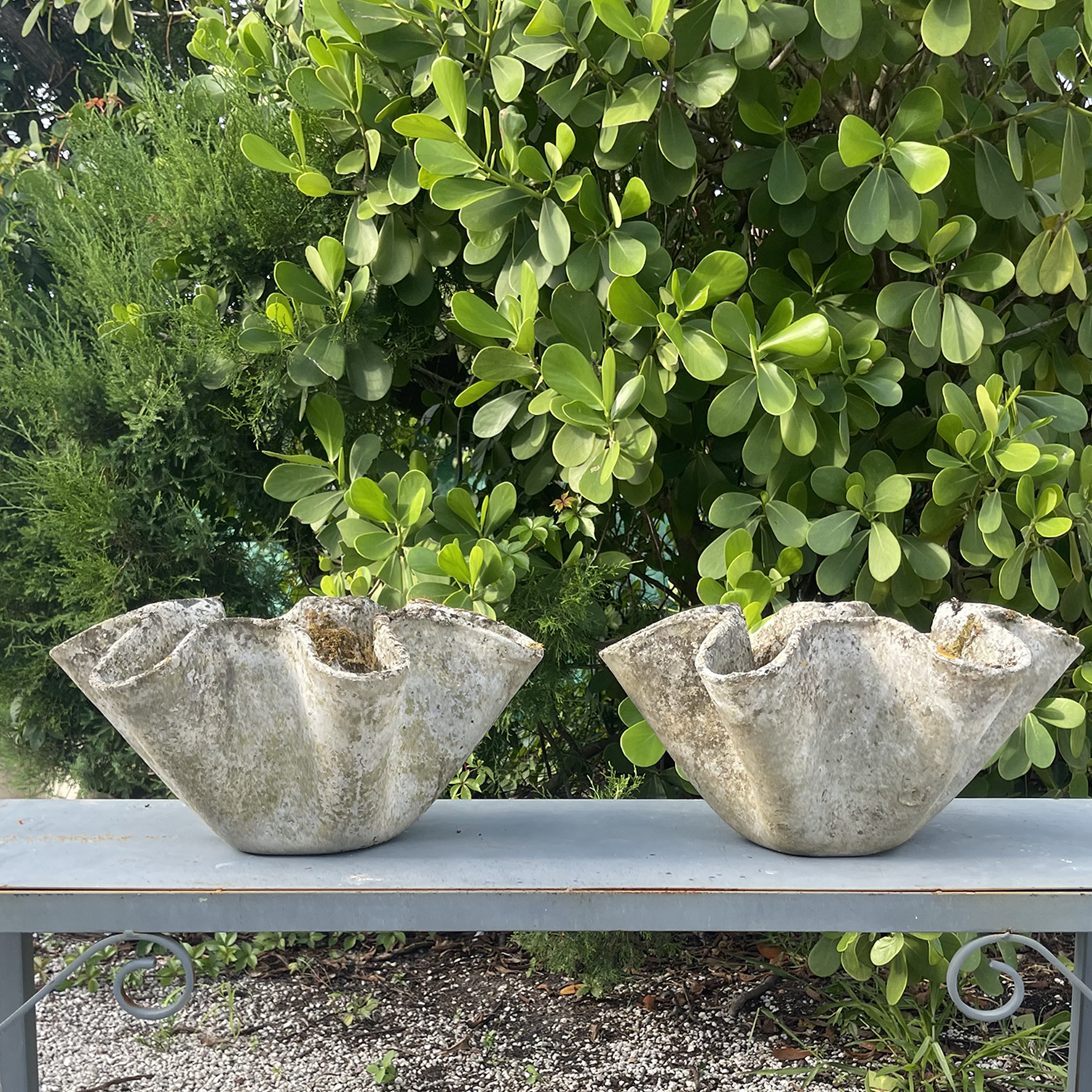 A Set of Two Willy Guhl Biomorphic Garden Planters