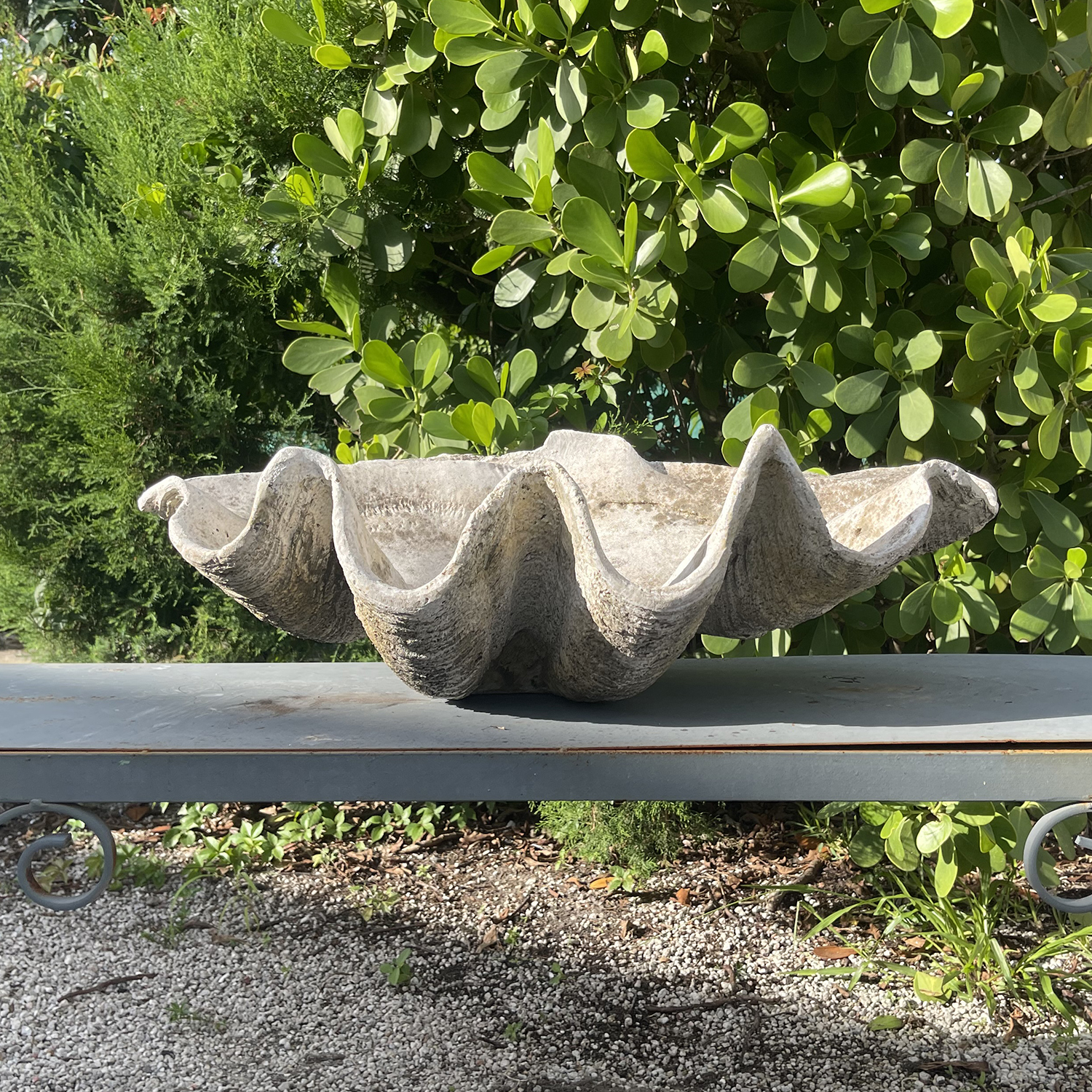 Large Shell Planter in Pierre Composée