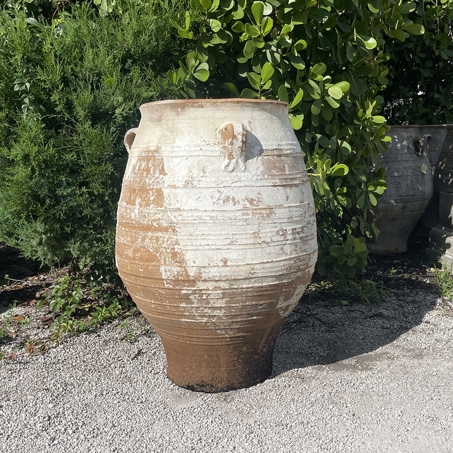 Large antique 19th Greek Terracotta Weathered Oil Jar
